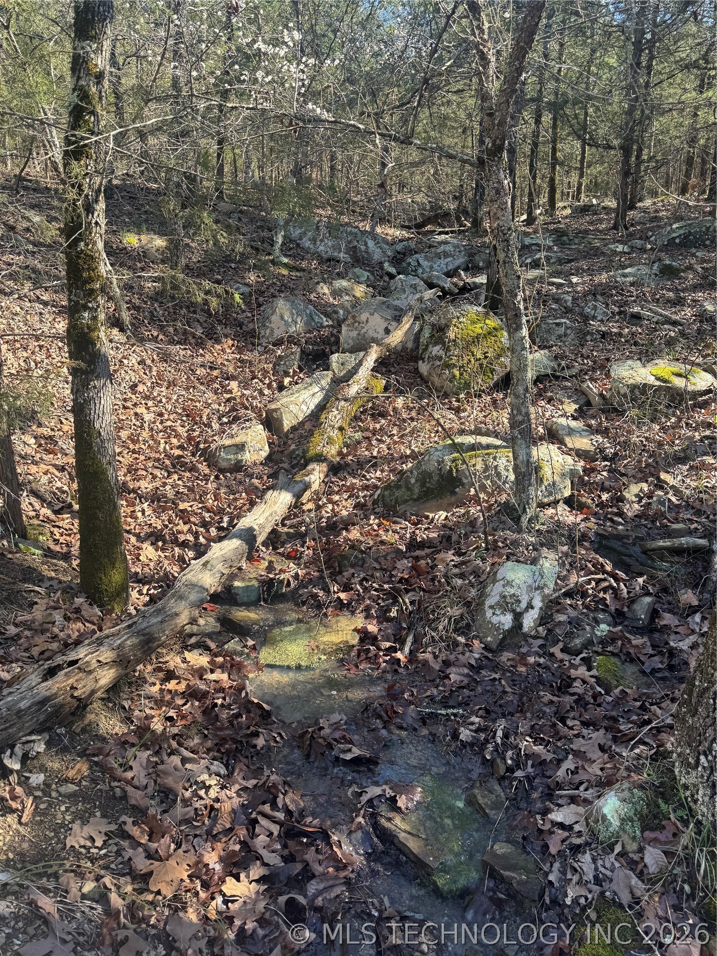 0000 One Creek Valley Road Finley OK 74543