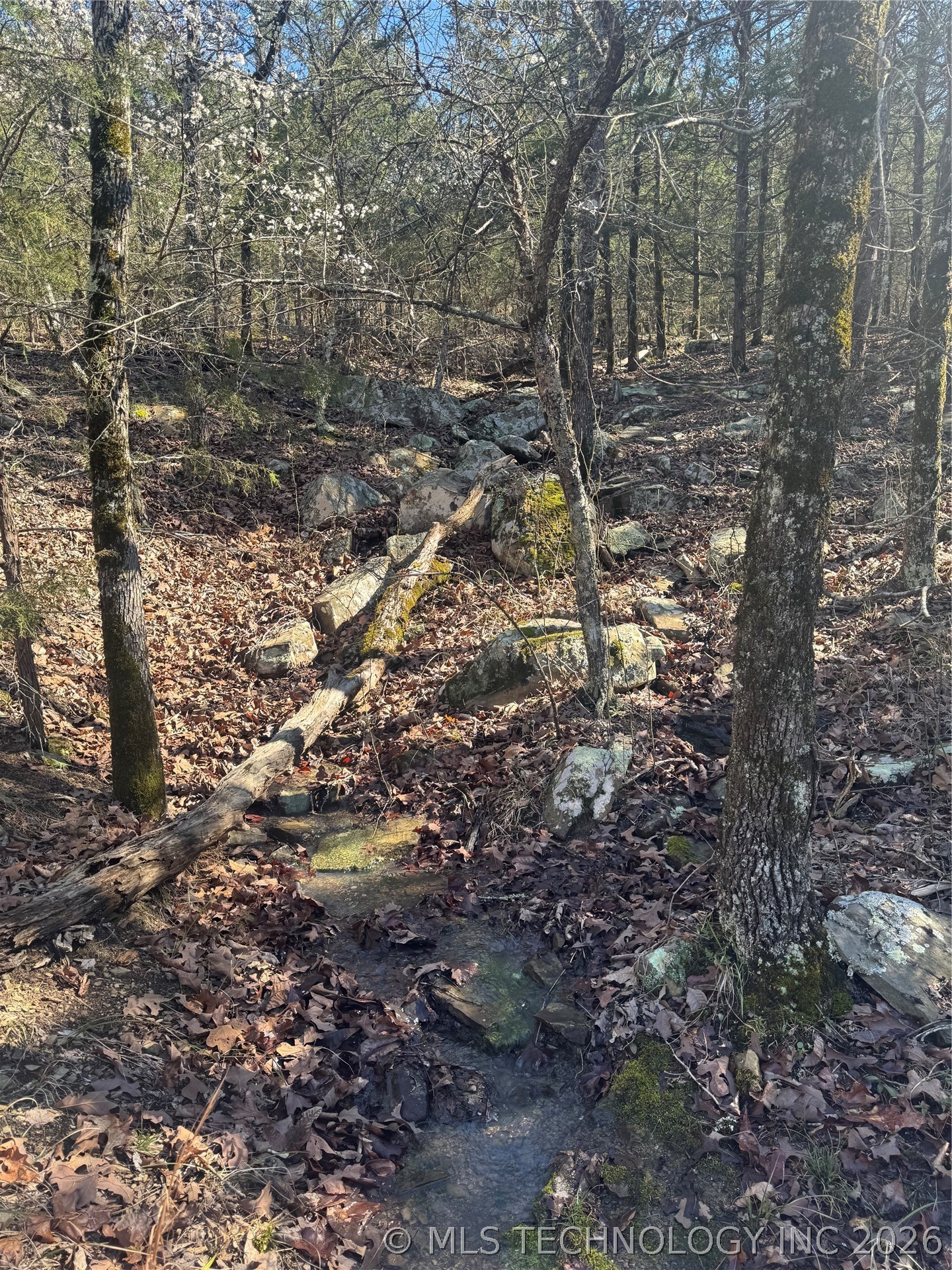 0000 One Creek Valley Road Finley OK 74543