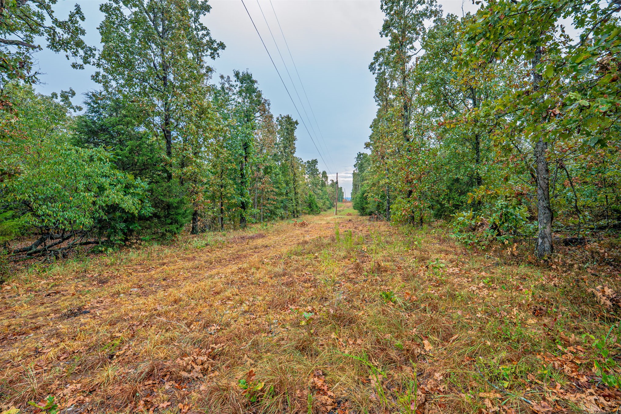 20 E 804 Road Welling OK 74471