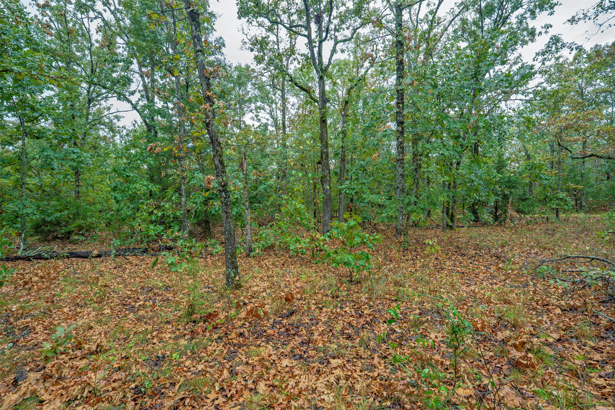 20 E 804 Road Welling OK 74471