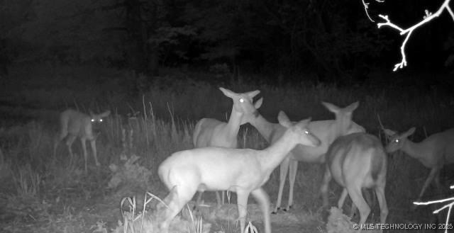 County Road 2561 Pawhuska OK 74056