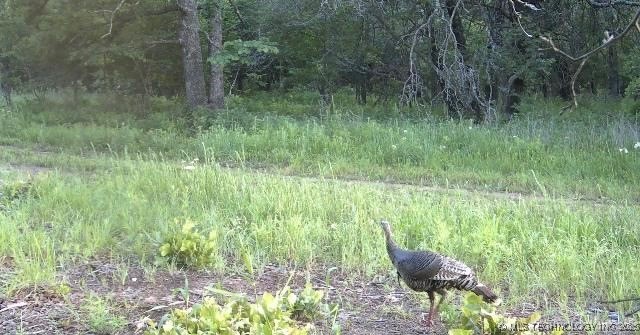 County Road 2561 Pawhuska OK 74056