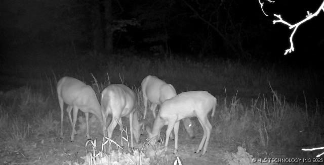 County Road 2561 Pawhuska OK 74056
