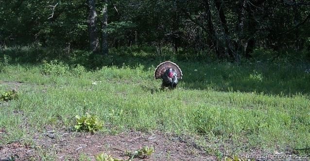 County Road 2561 Pawhuska OK 74056
