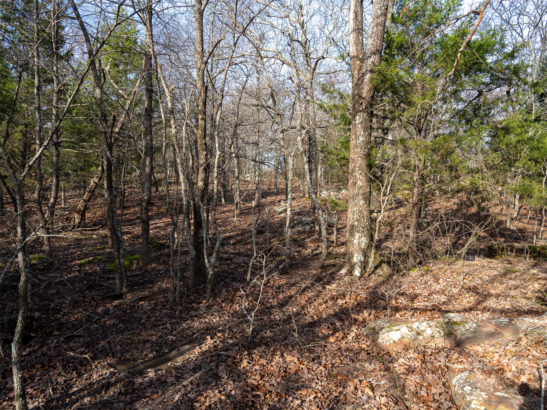 4 E 1110 Road Checotah OK 74426