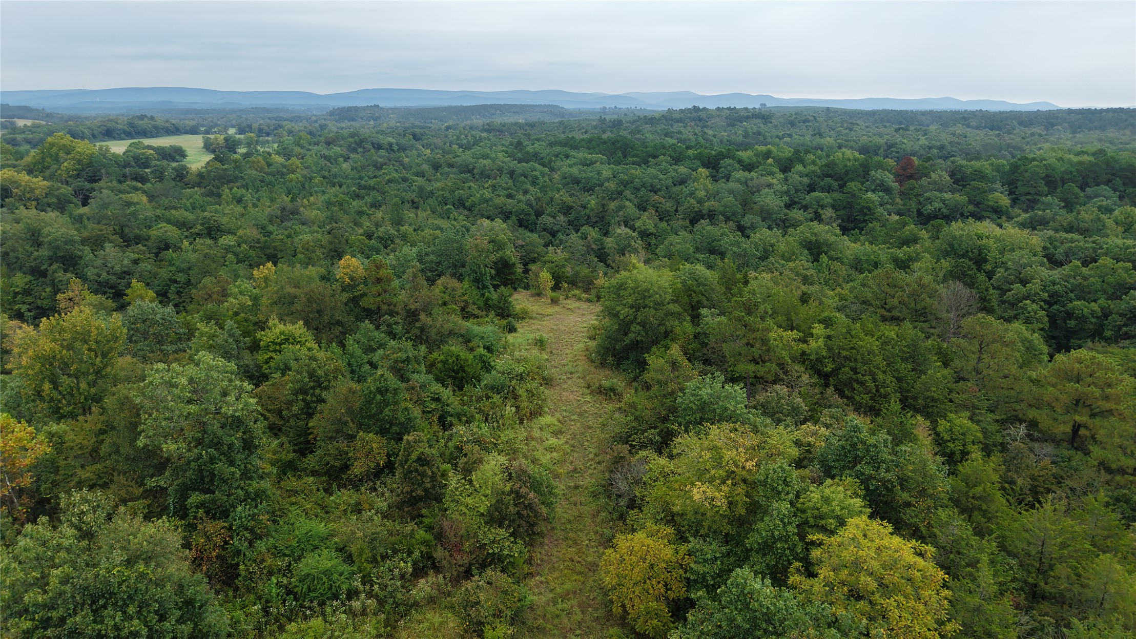 0 Loop Road Smithville OK 74957