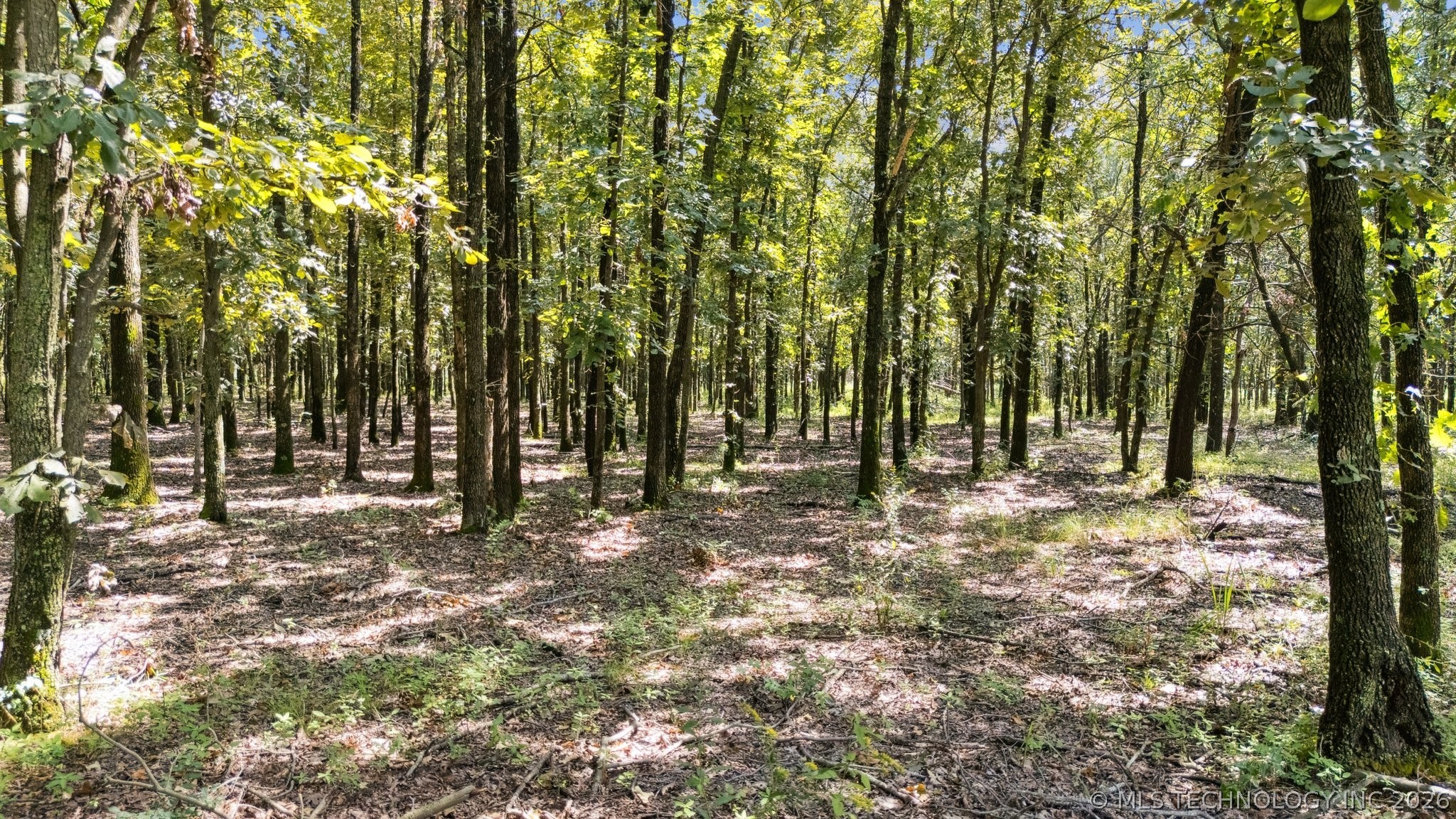 00000 S 4290 Road W Big Cabin OK 74332