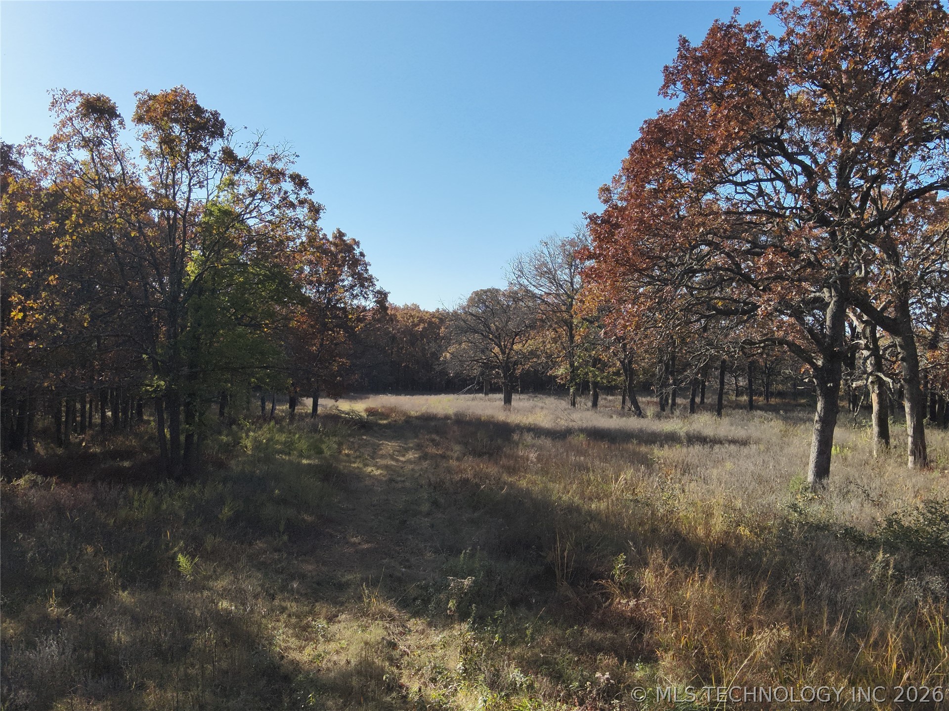 00000 S 4290 Road W Big Cabin OK 74332