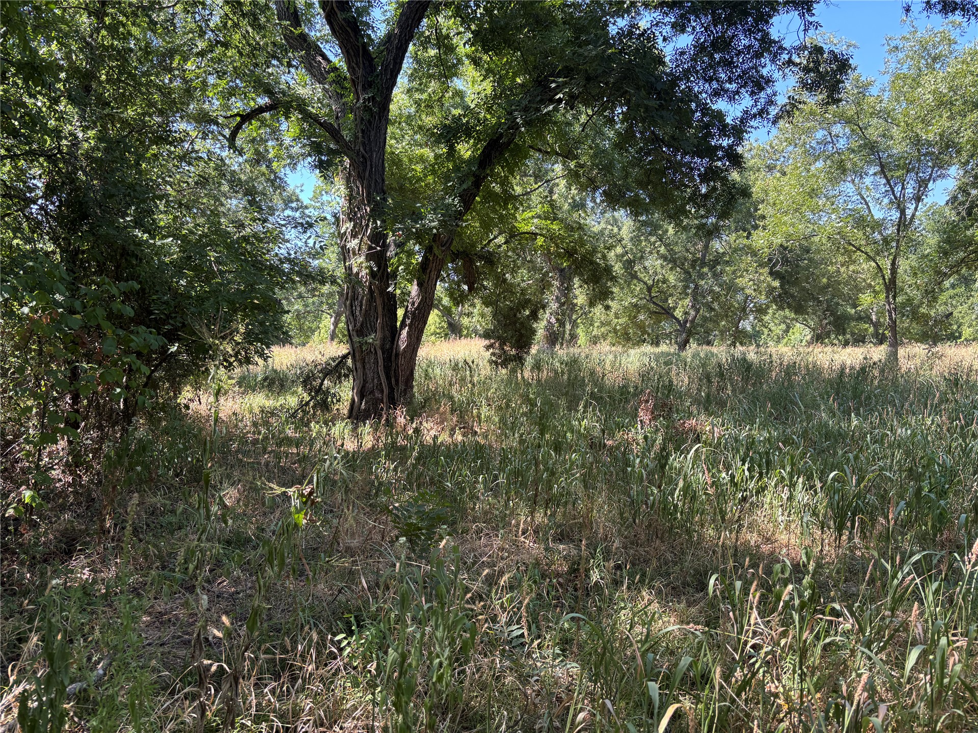 11940 State Highway 76 Healdton OK 73438