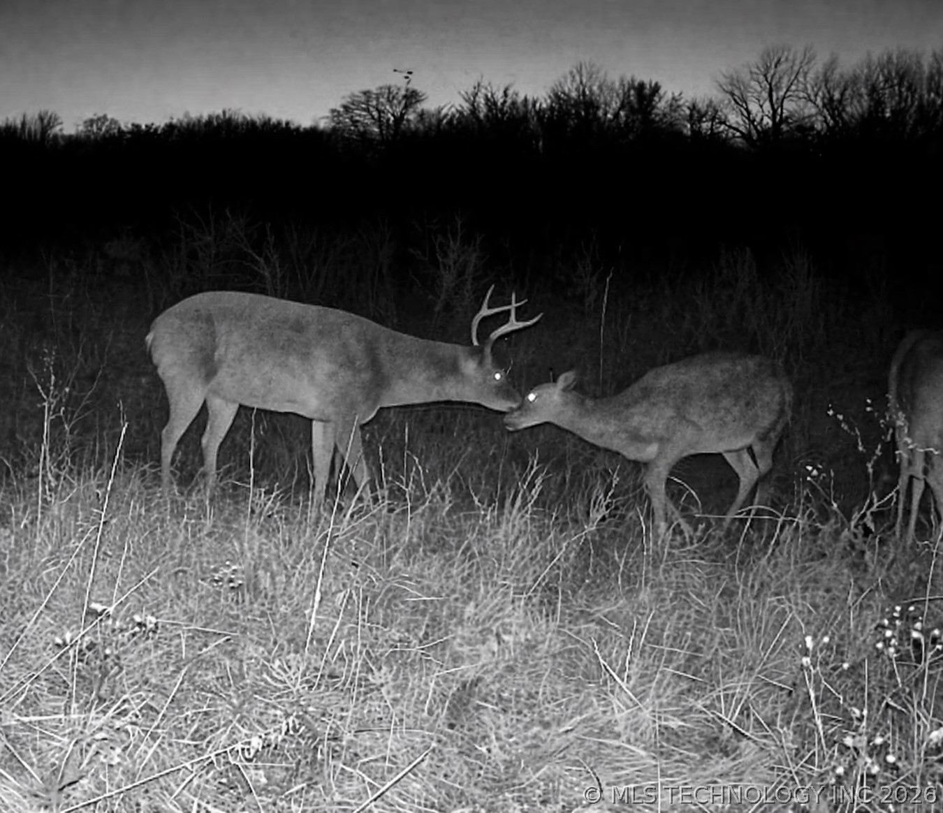 001 W Fern Mountain Road Muskogee OK 74401