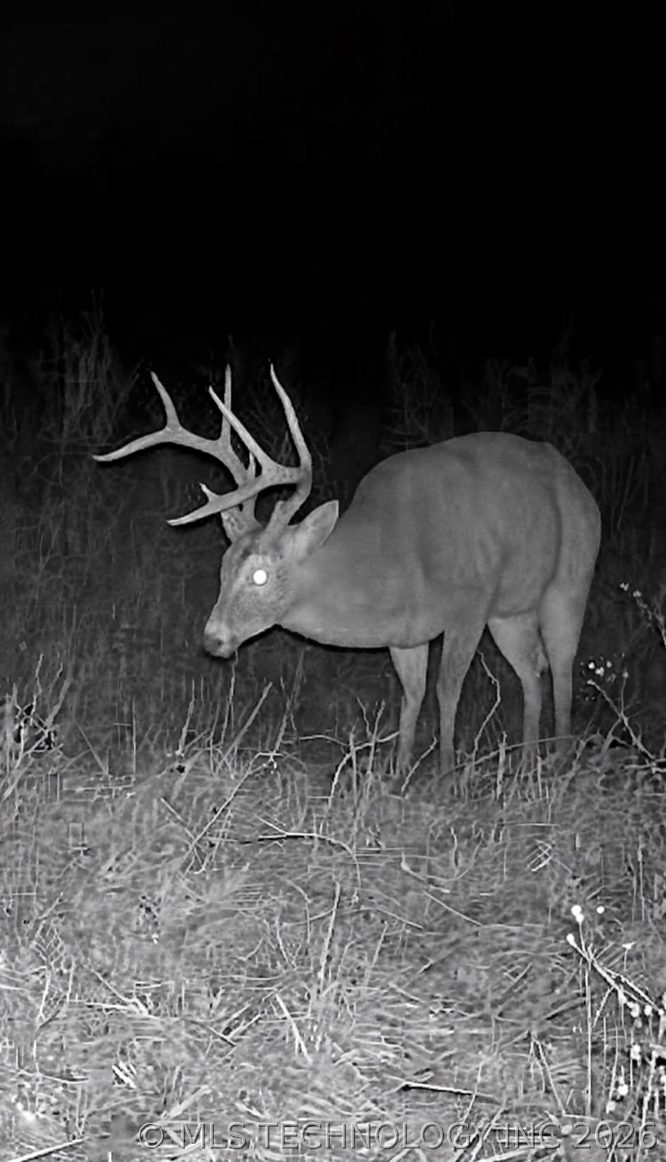 001 W Fern Mountain Road Muskogee OK 74401