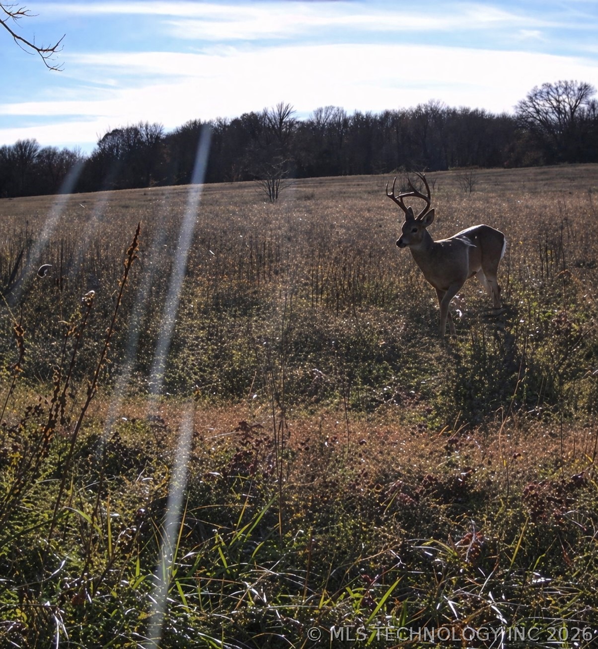001 W Fern Mountain Road Muskogee OK 74401