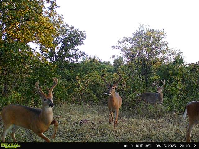 0000 N 3590 Road E Cleveland OK 74020
