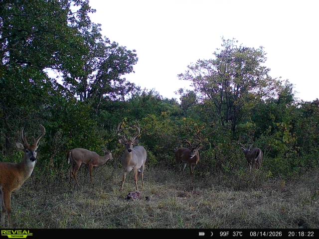 0000 N 3590 Road E Cleveland OK 74020