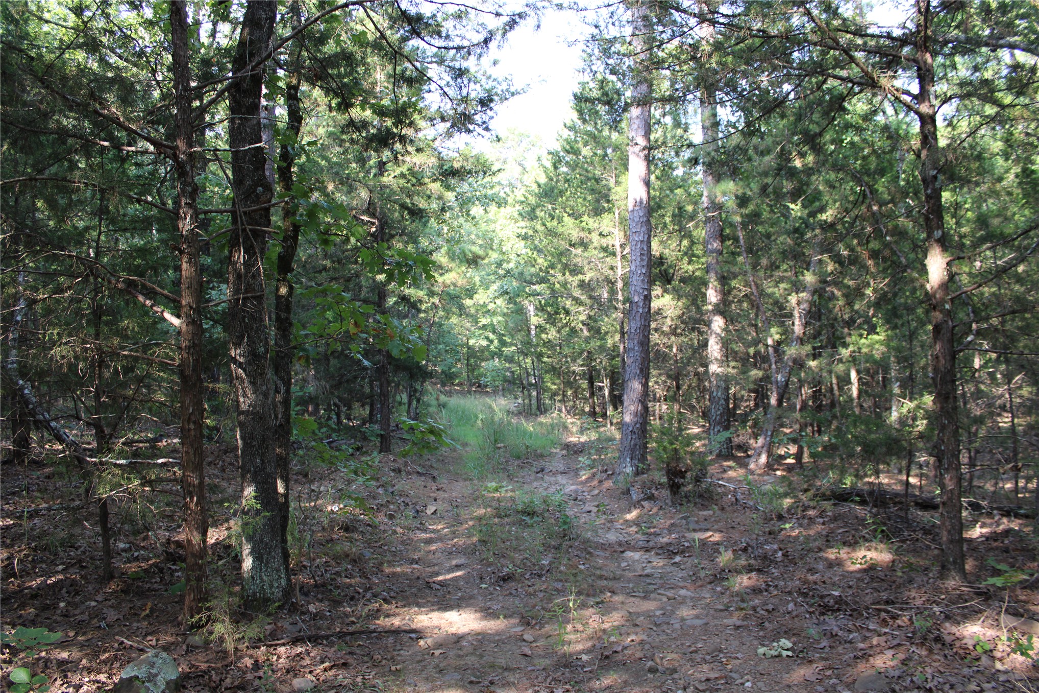 Hwy 1 Highway Buffalo Valley OK 74571