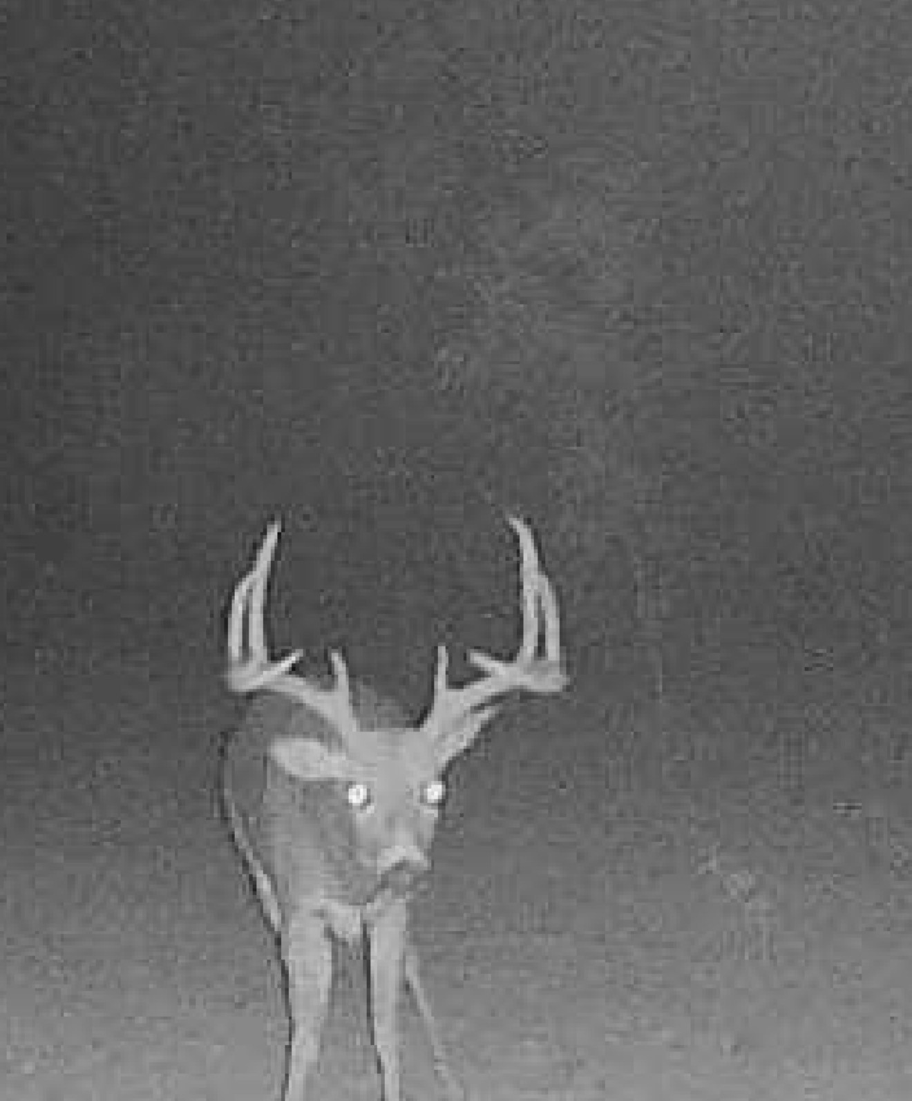 County Road 3250 N Pauls Valley OK 73075