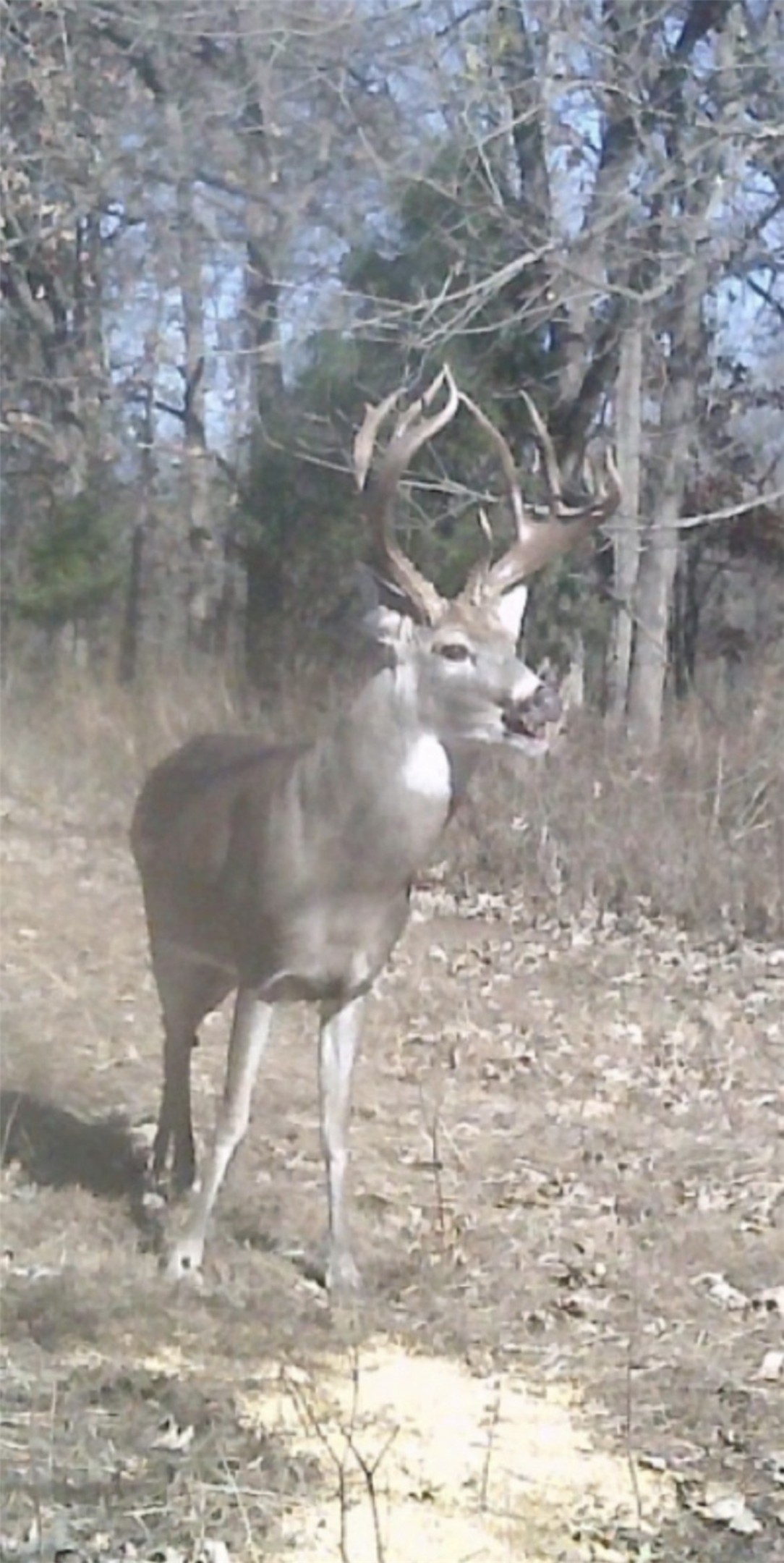 County Road 3250 N Pauls Valley OK 73075