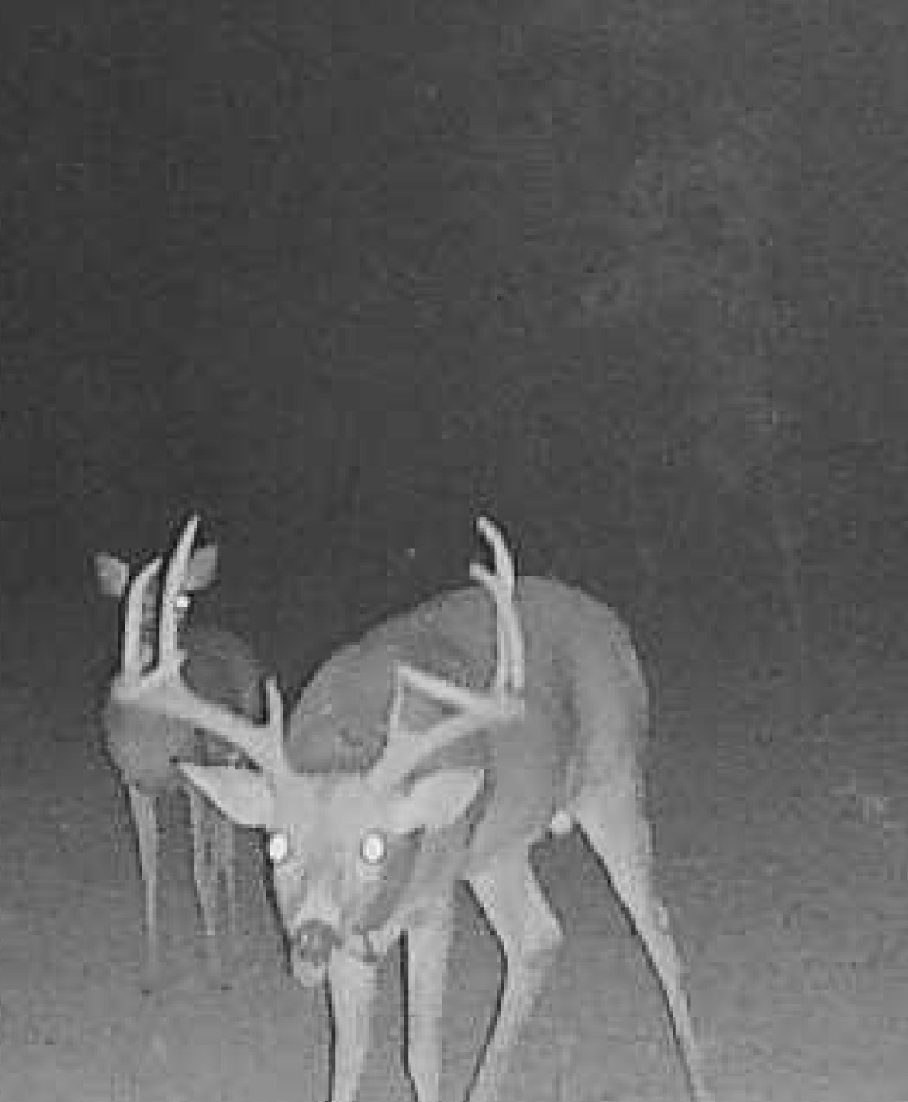 County Road 3250 N Pauls Valley OK 73075