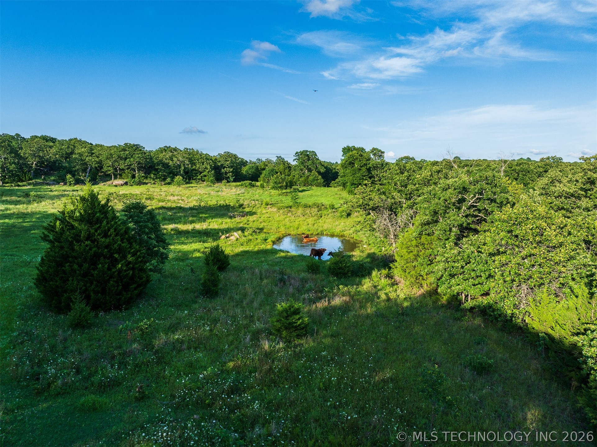 80 W Tina Trail Sand Springs OK 74354