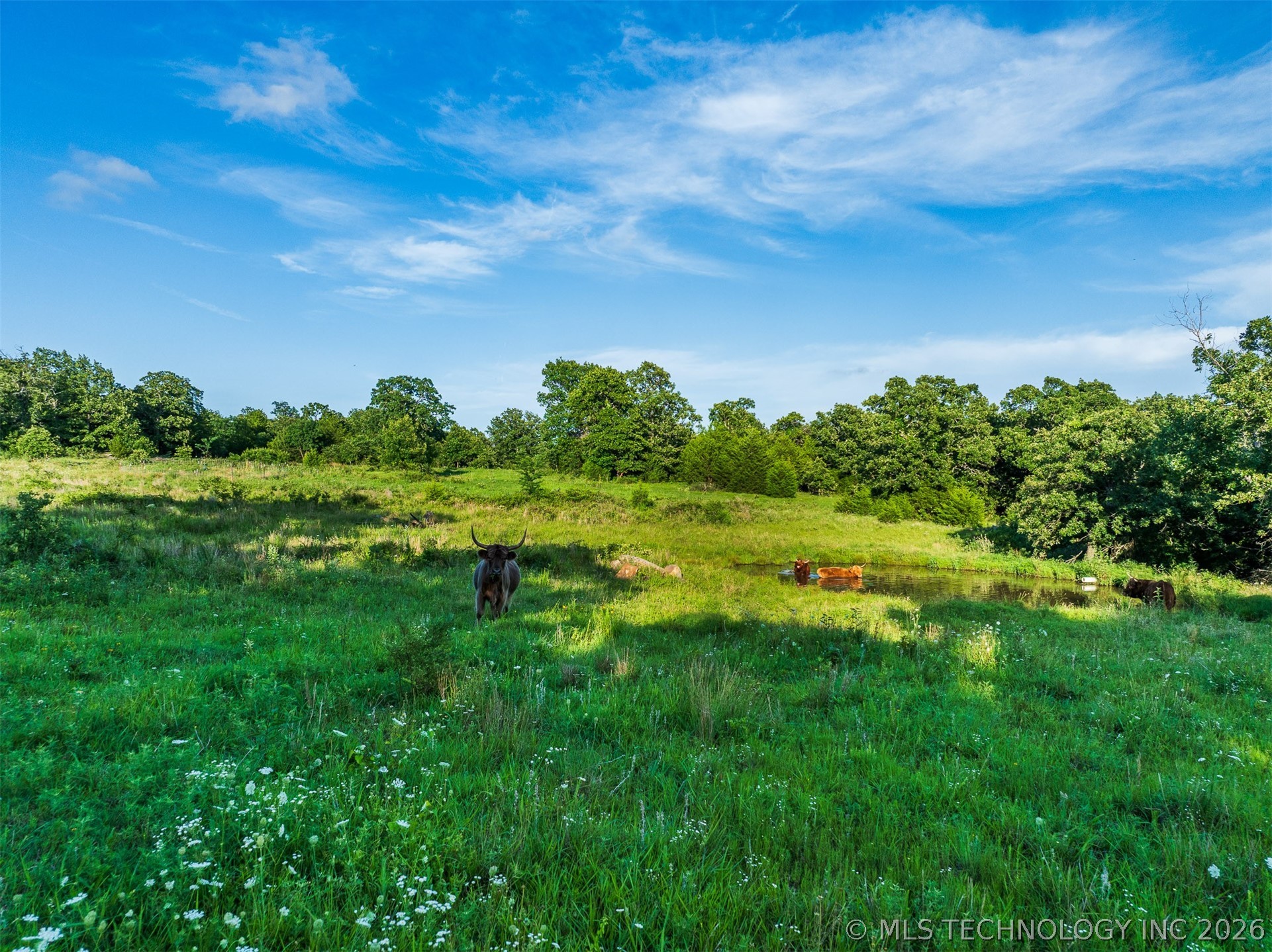 80 W Tina Trail Sand Springs OK 74354