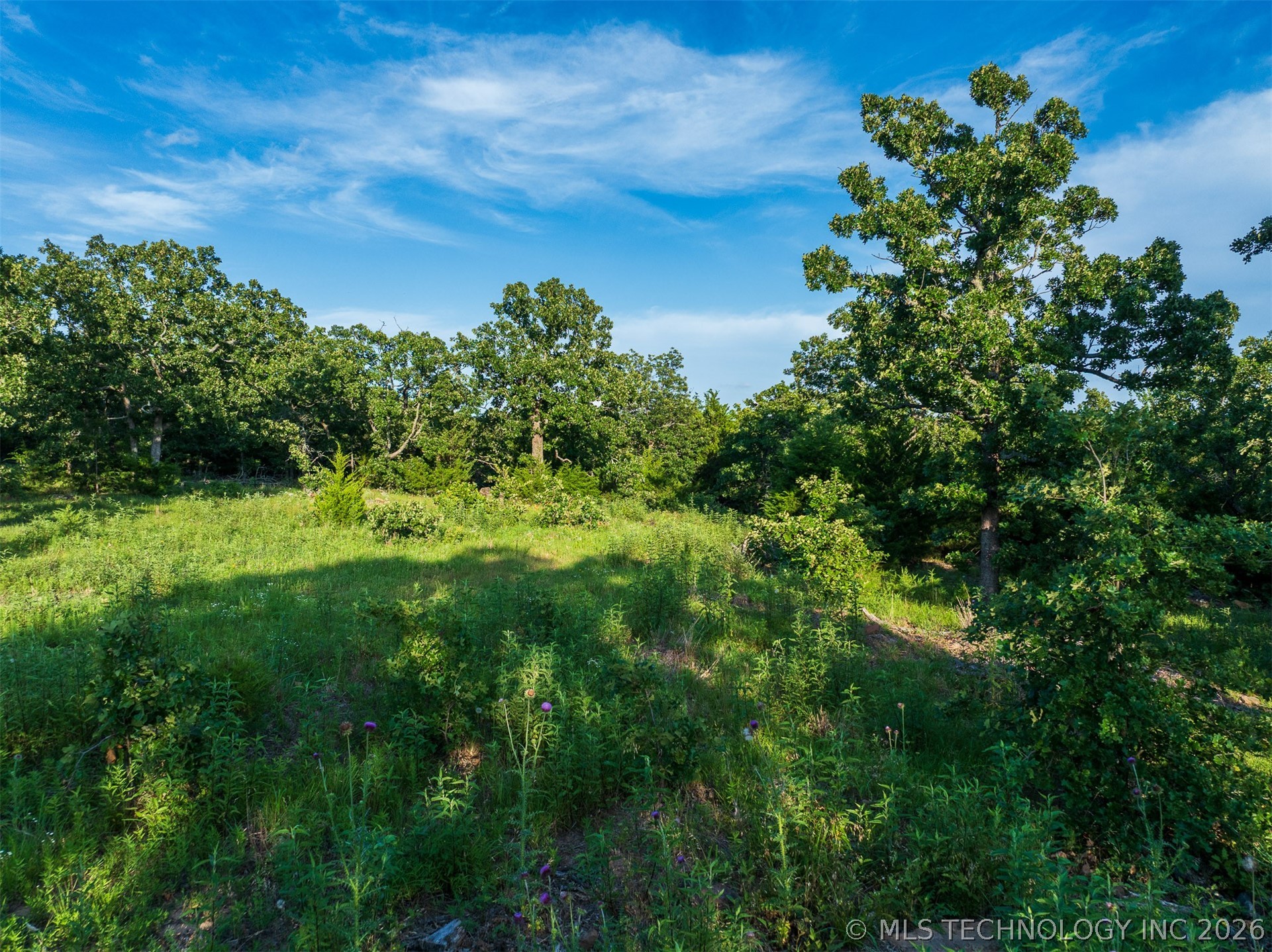 80 W Tina Trail Sand Springs OK 74354