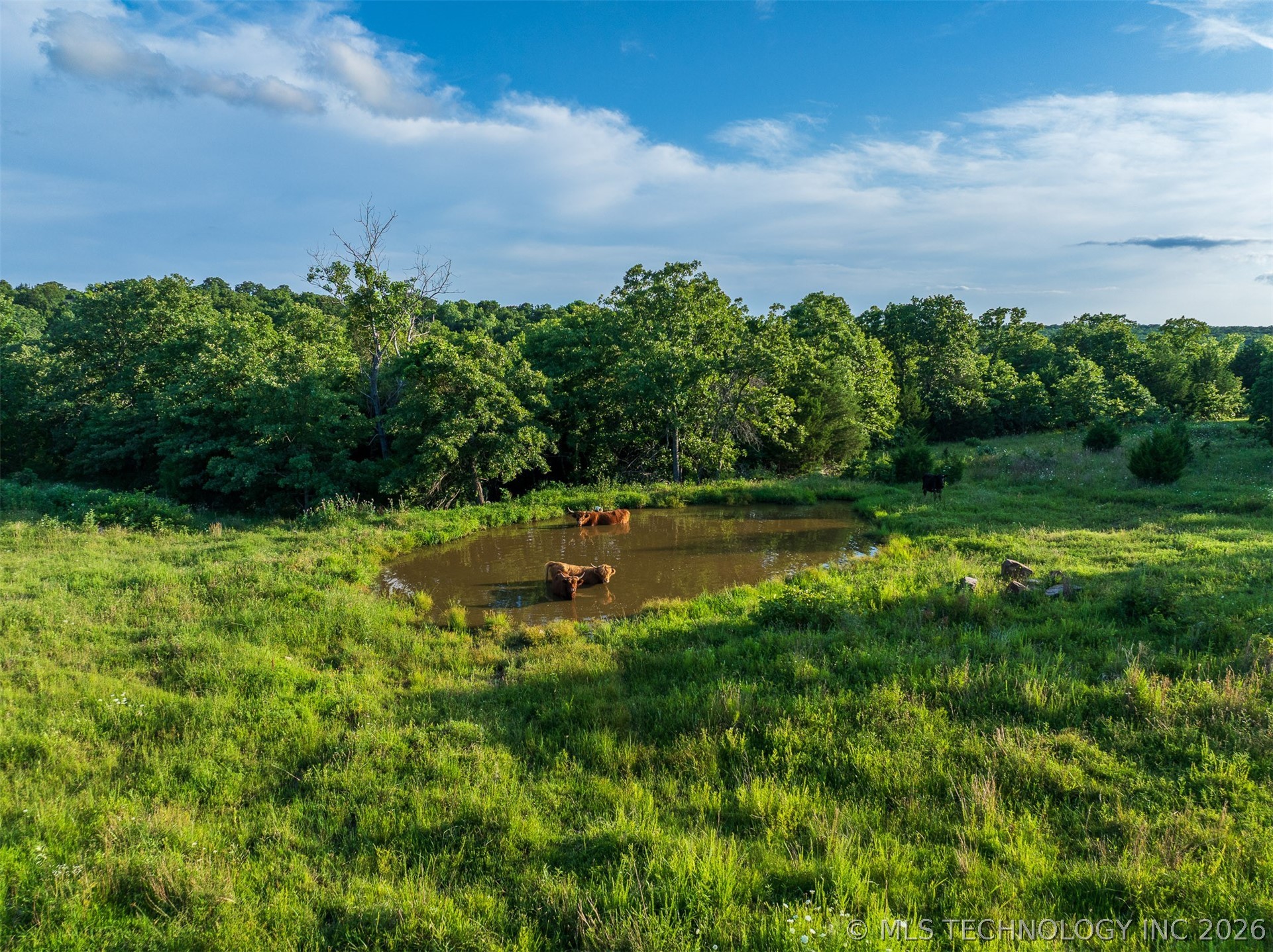 80 W Tina Trail Sand Springs OK 74354