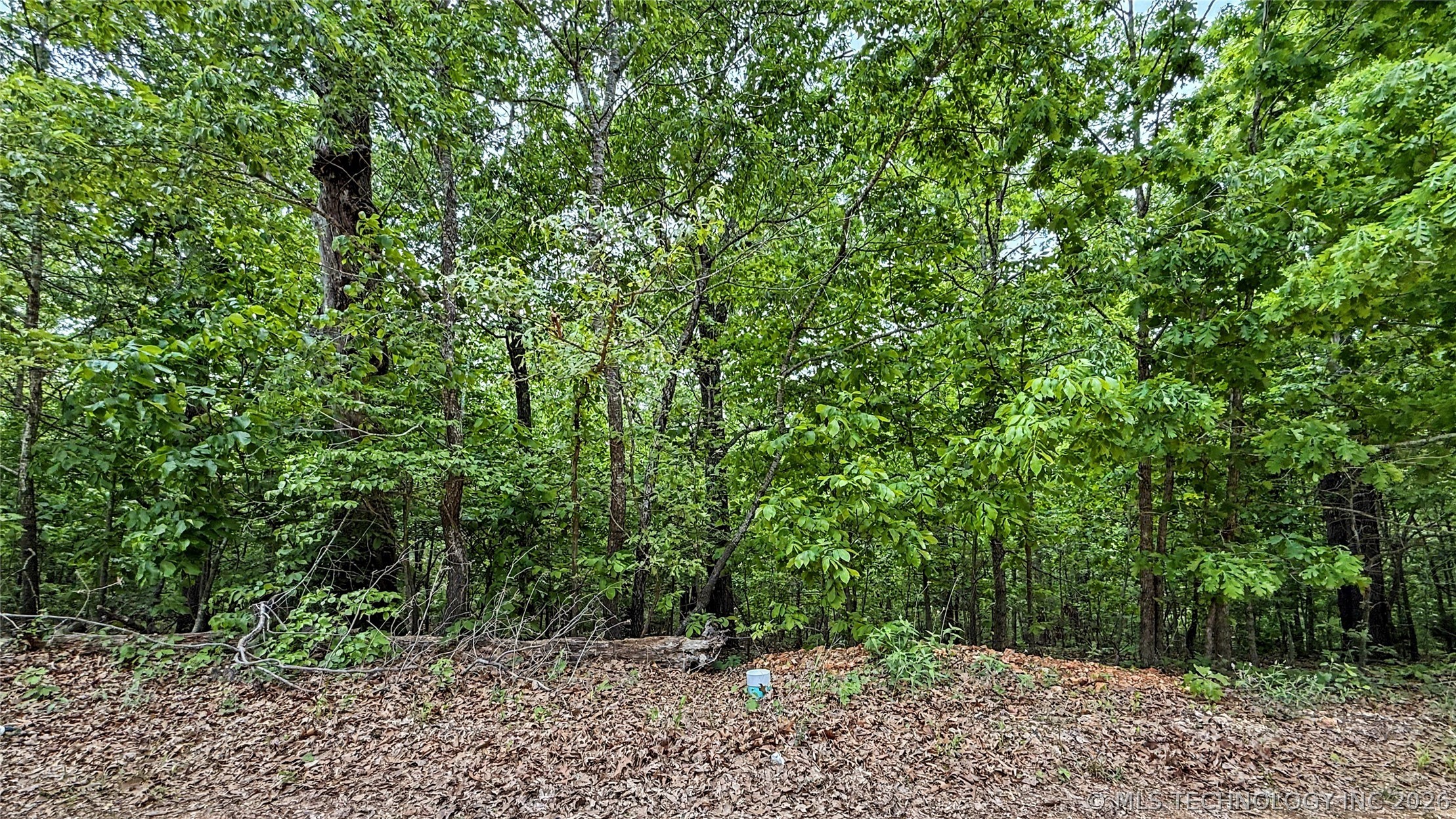28077 Lame Deer Ridge Road Proctor OK 74457