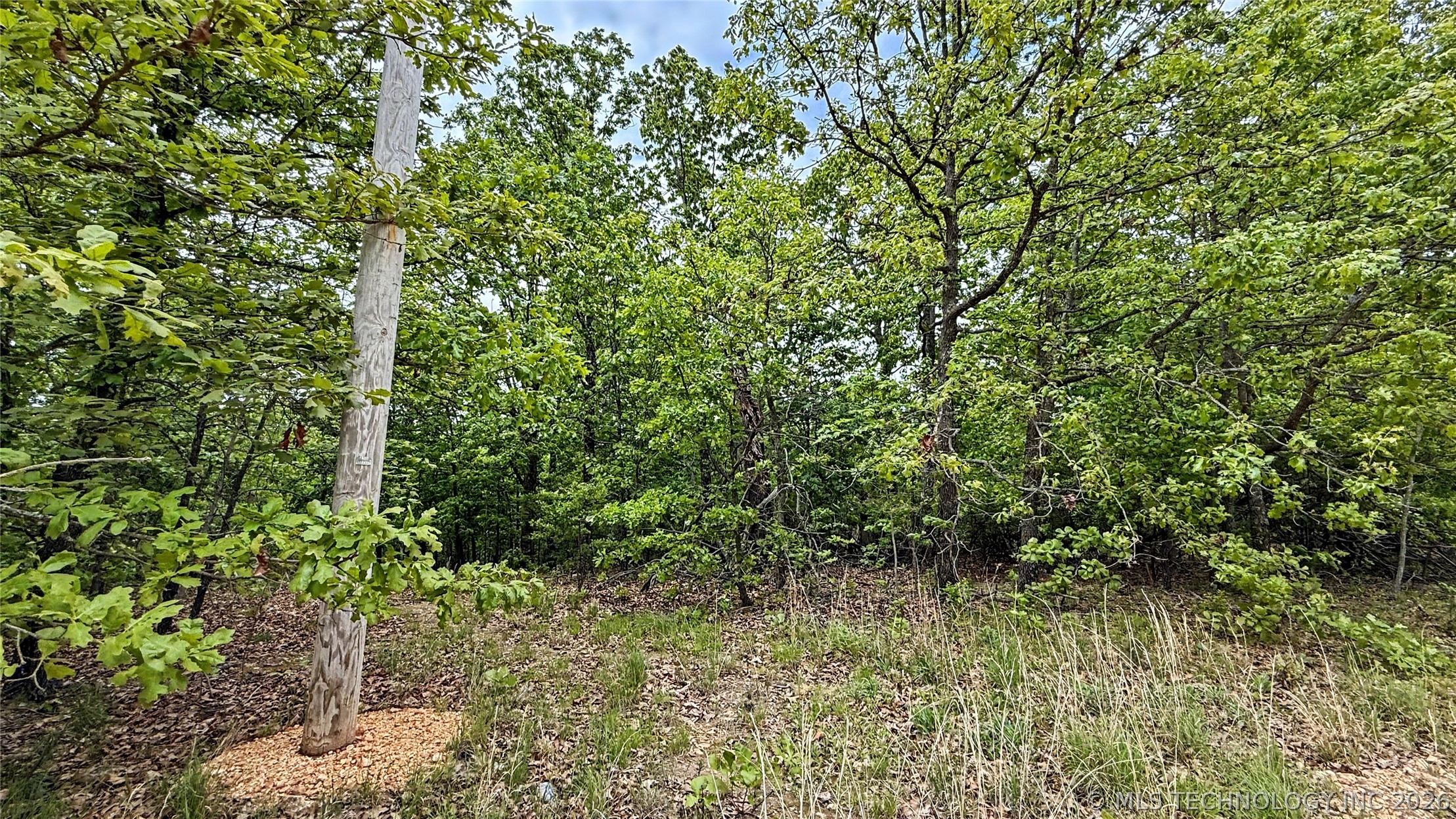 28077 Lame Deer Ridge Road Proctor OK 74457