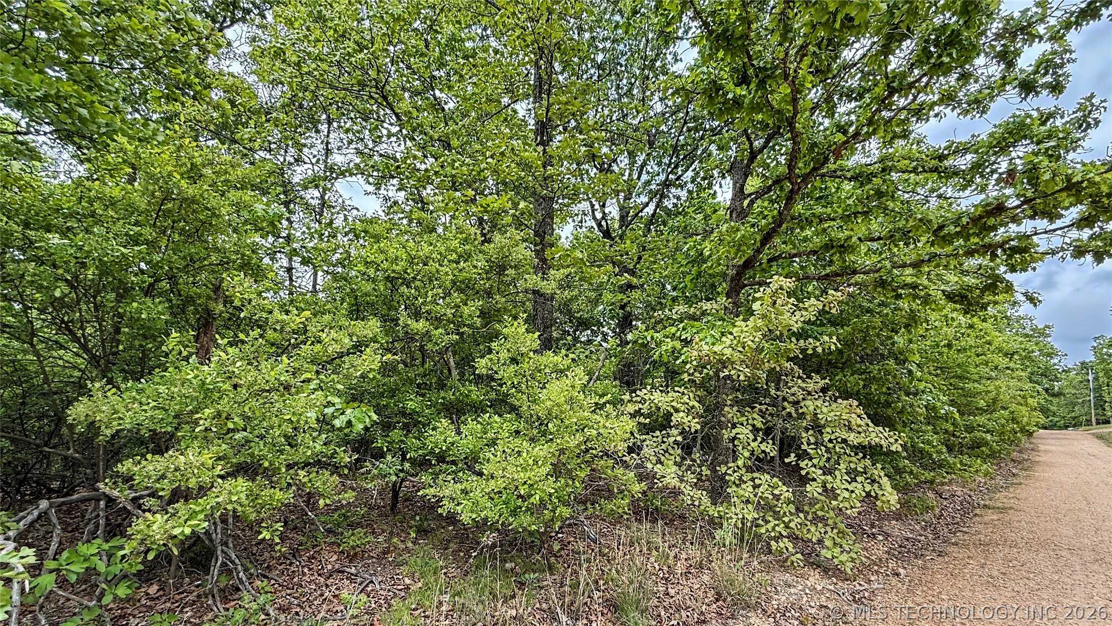 28077 Lame Deer Ridge Road Proctor OK 74457
