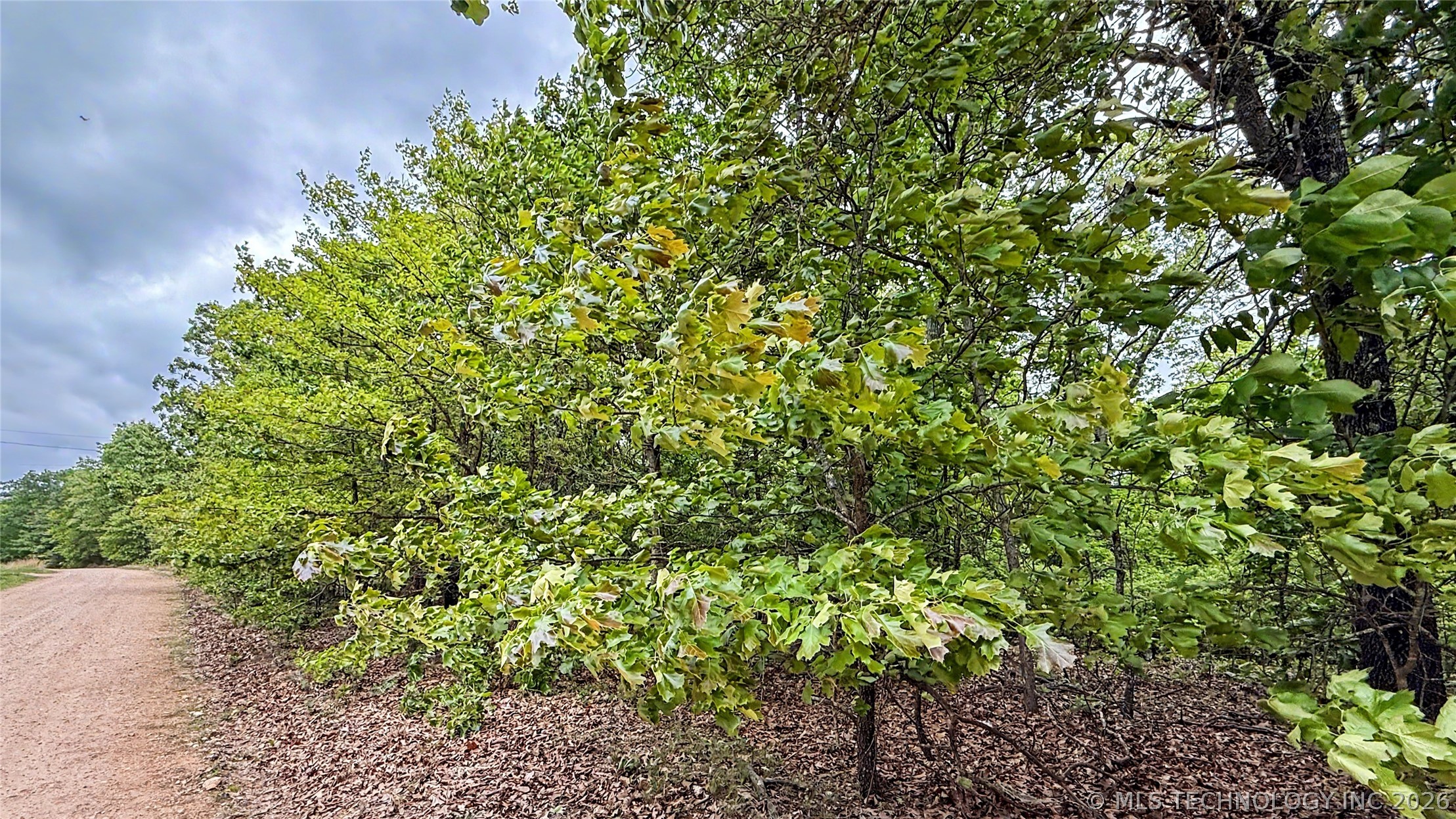 28077 Lame Deer Ridge Road Proctor OK 74457