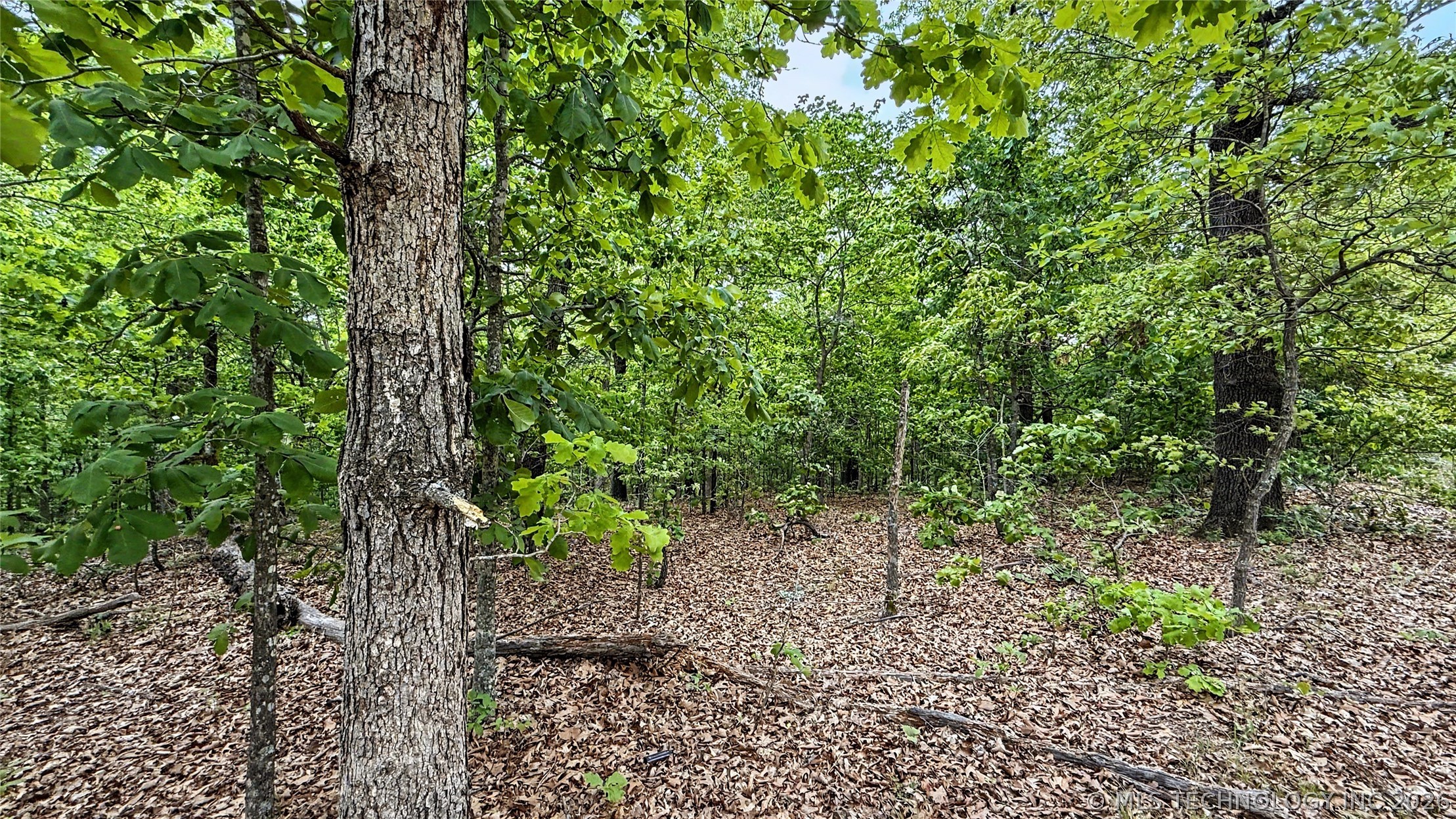 28077 Lame Deer Ridge Road Proctor OK 74457