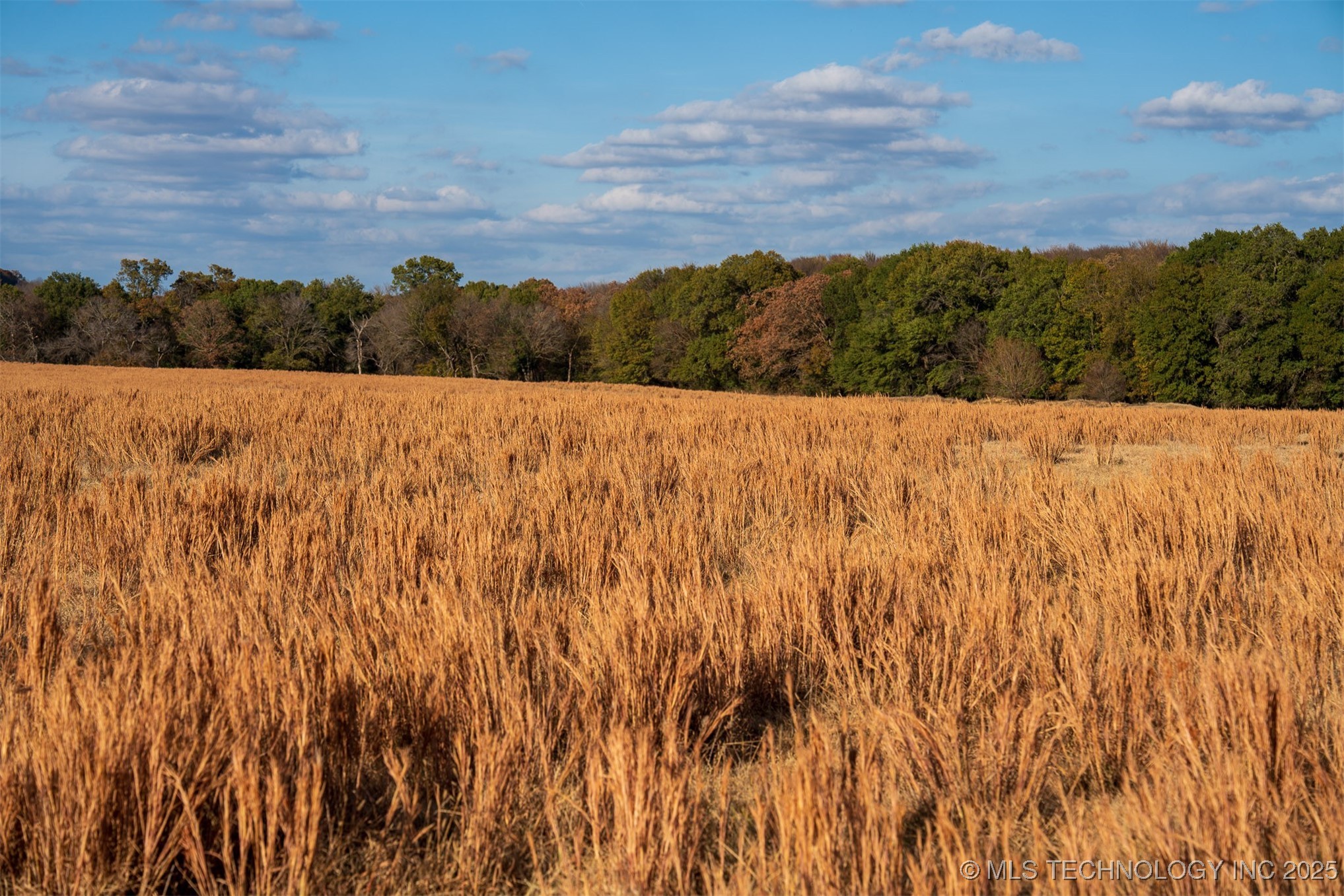 60 S County Road 4440 Mccurtain OK 74944