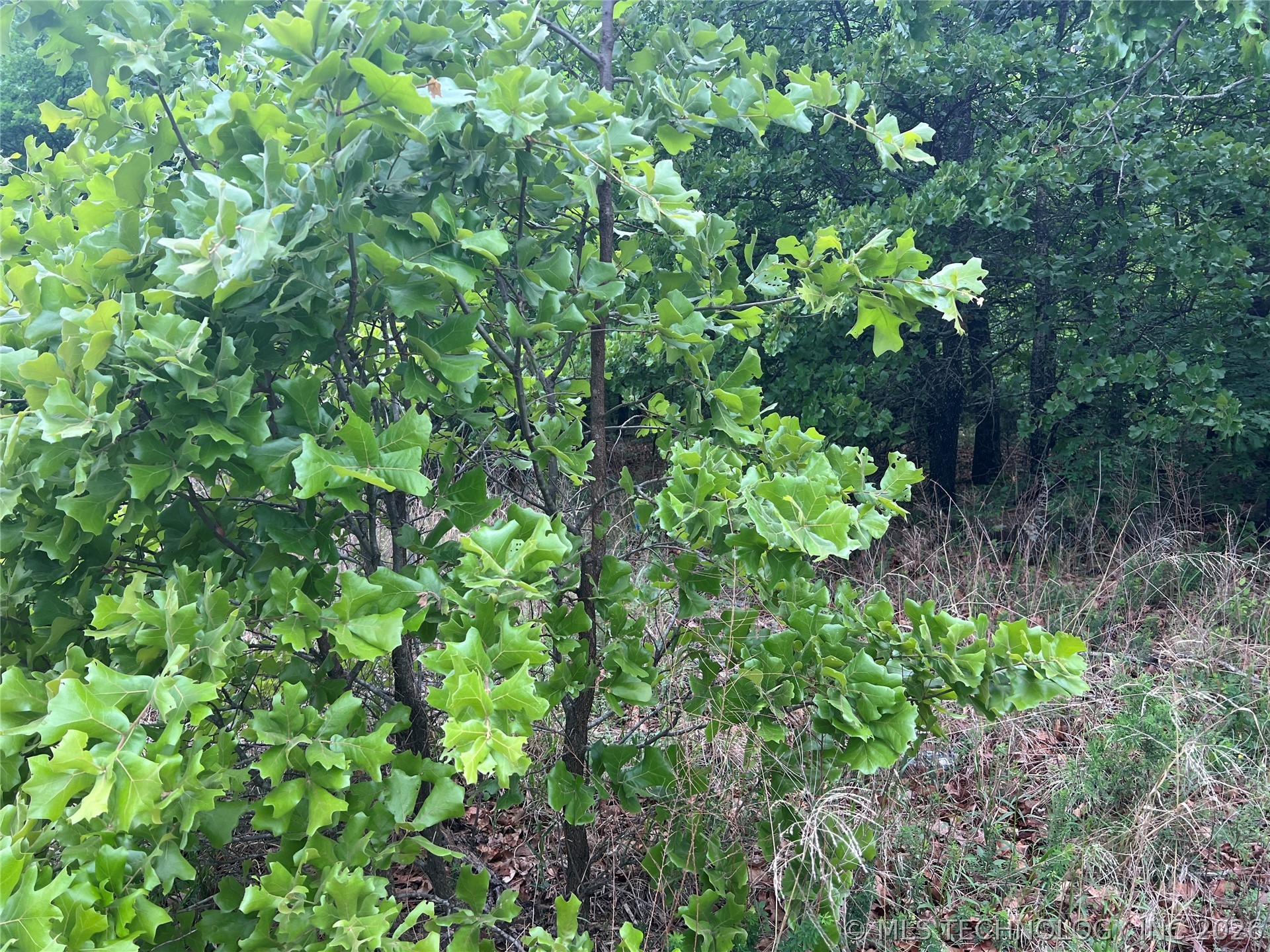 0 Bristow Point Road Mcalester OK 74501