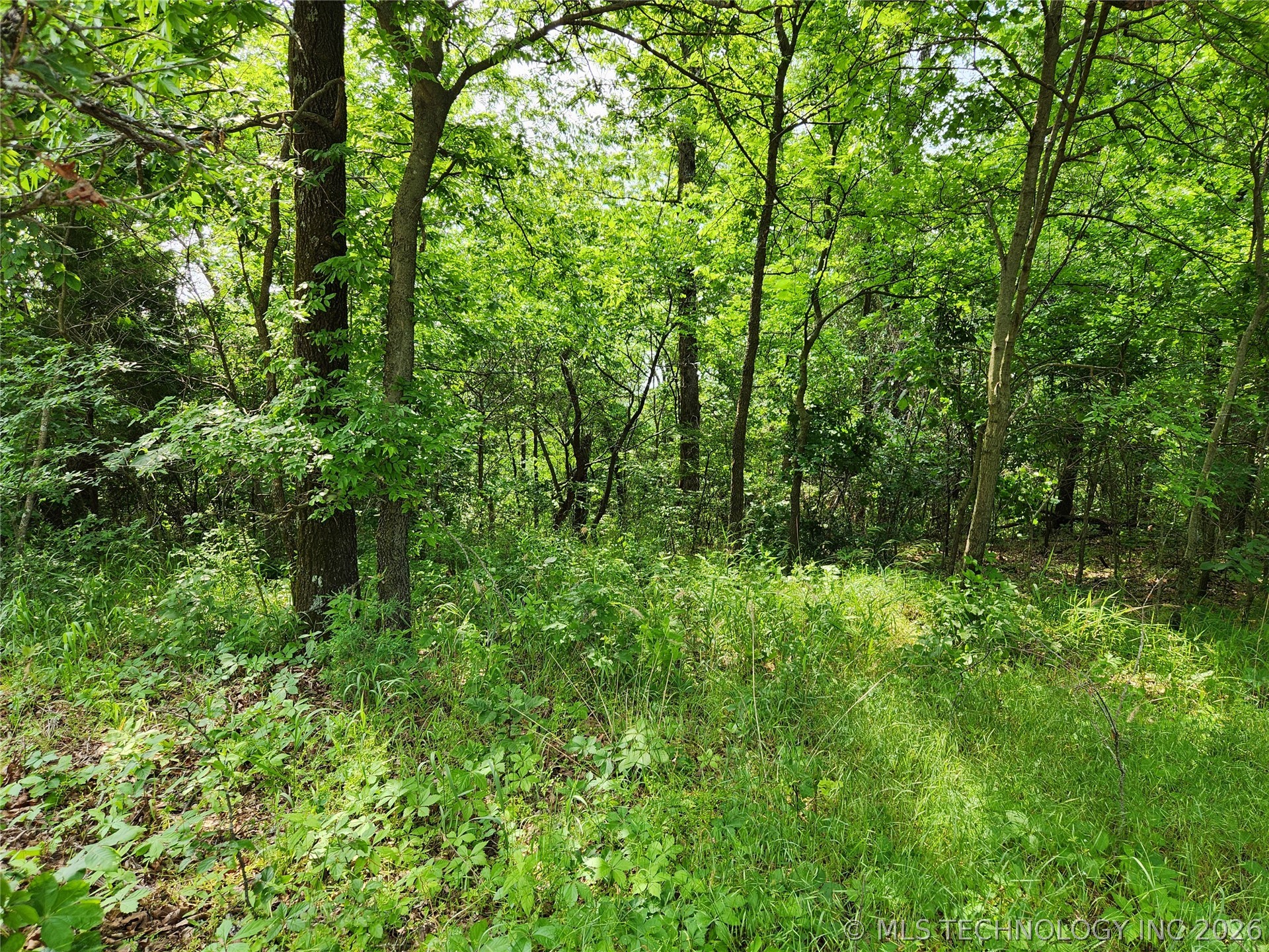 S 043 Road Locust Grove OK 74352