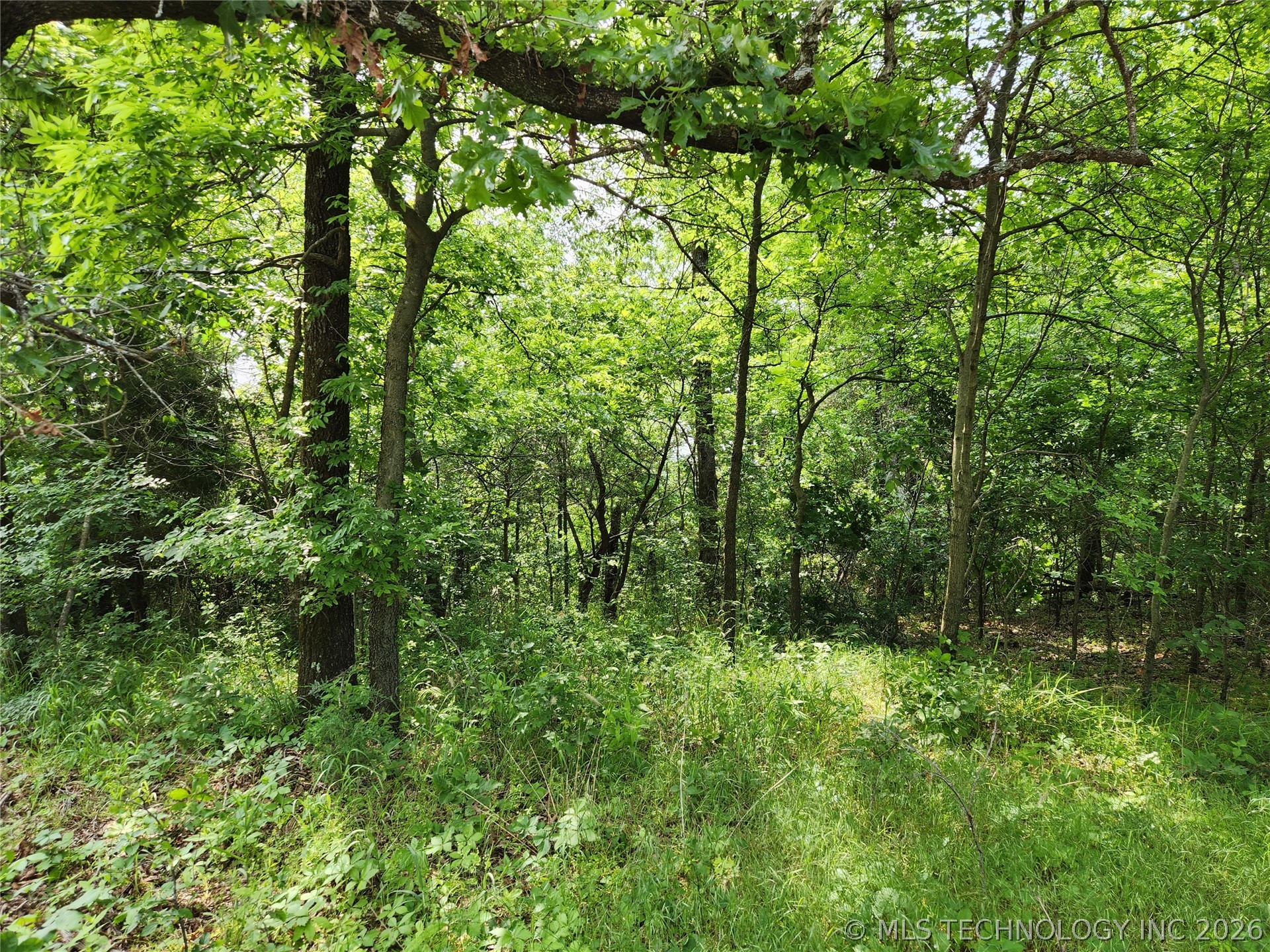 S 043 Road Locust Grove OK 74352