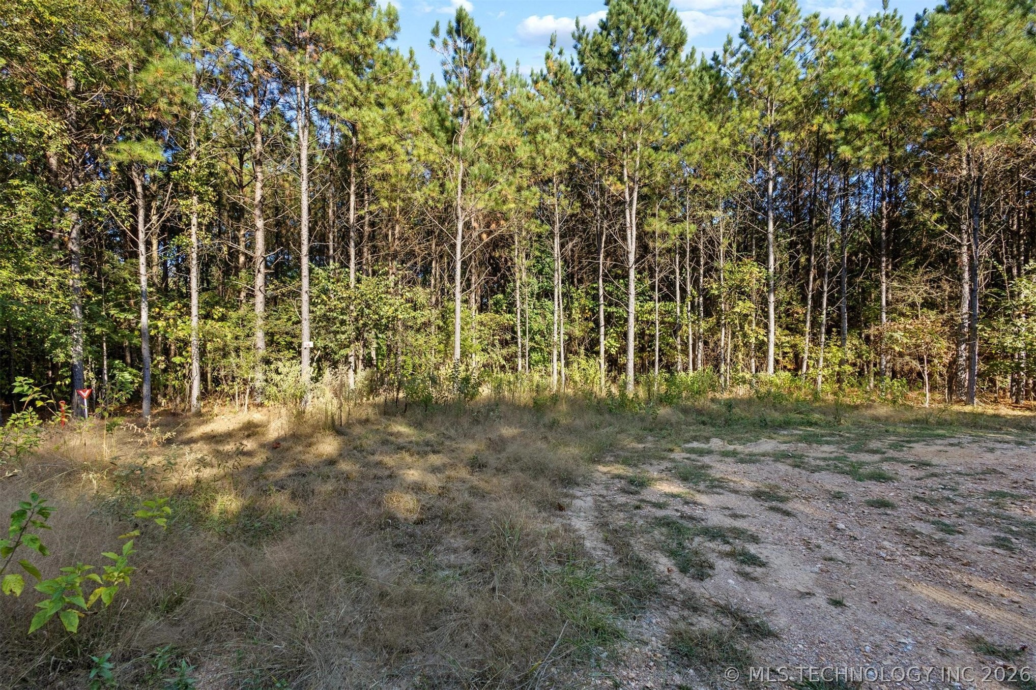 134 Wolf Tree Trail Broken Bow OK 74728