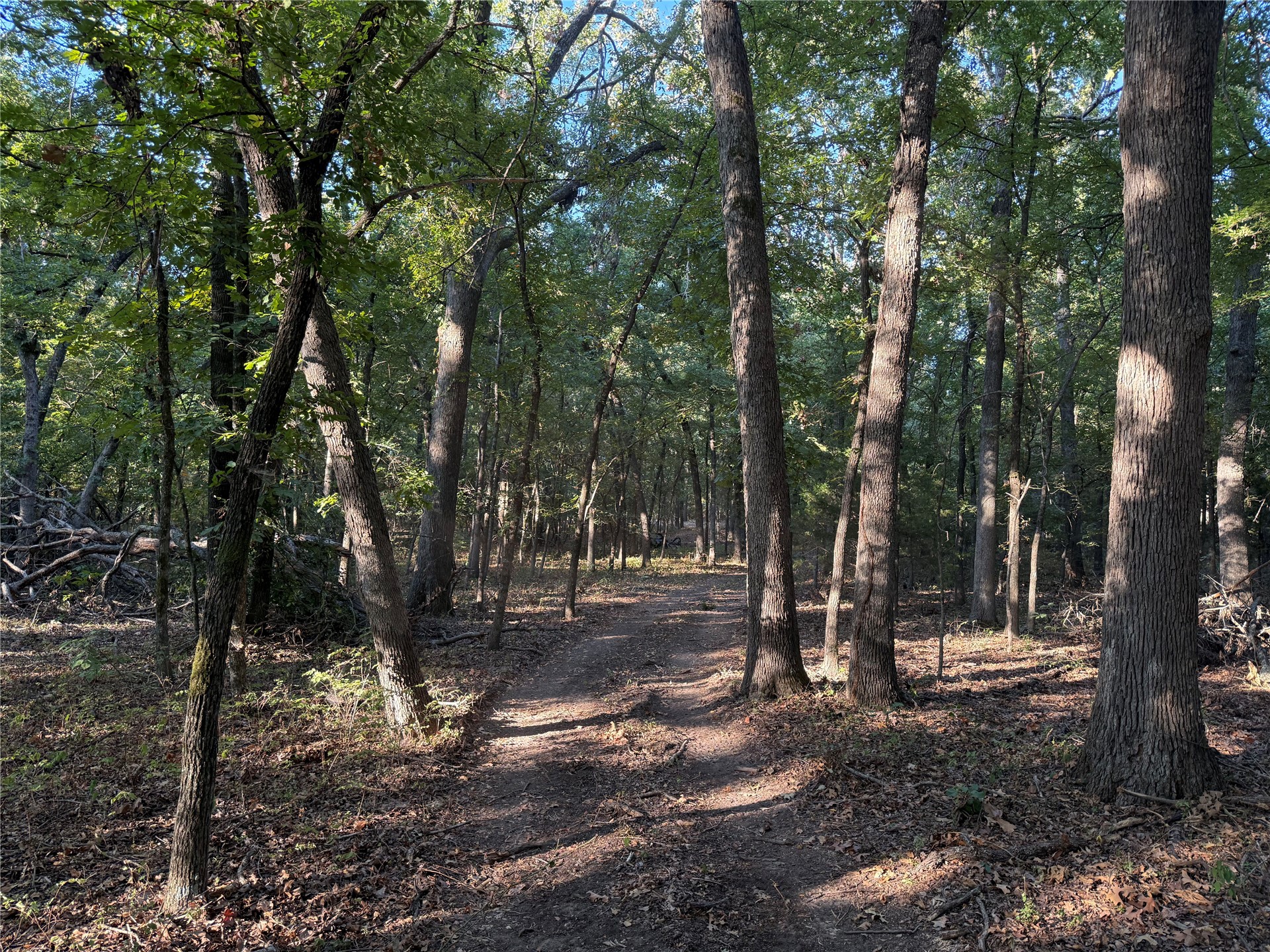 3 County Road 3480 Ada OK 74820