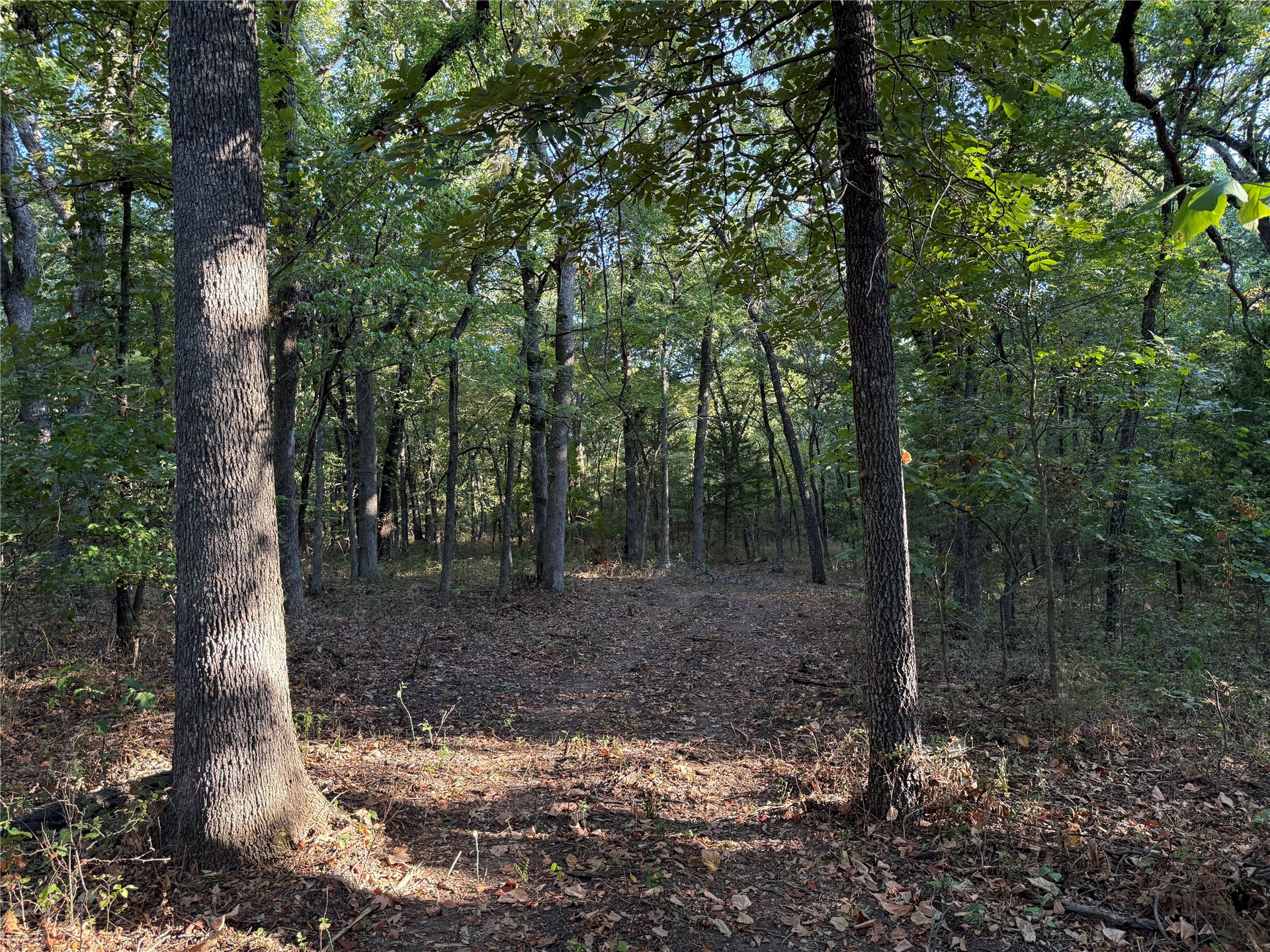 3 County Road 3480 Ada OK 74820