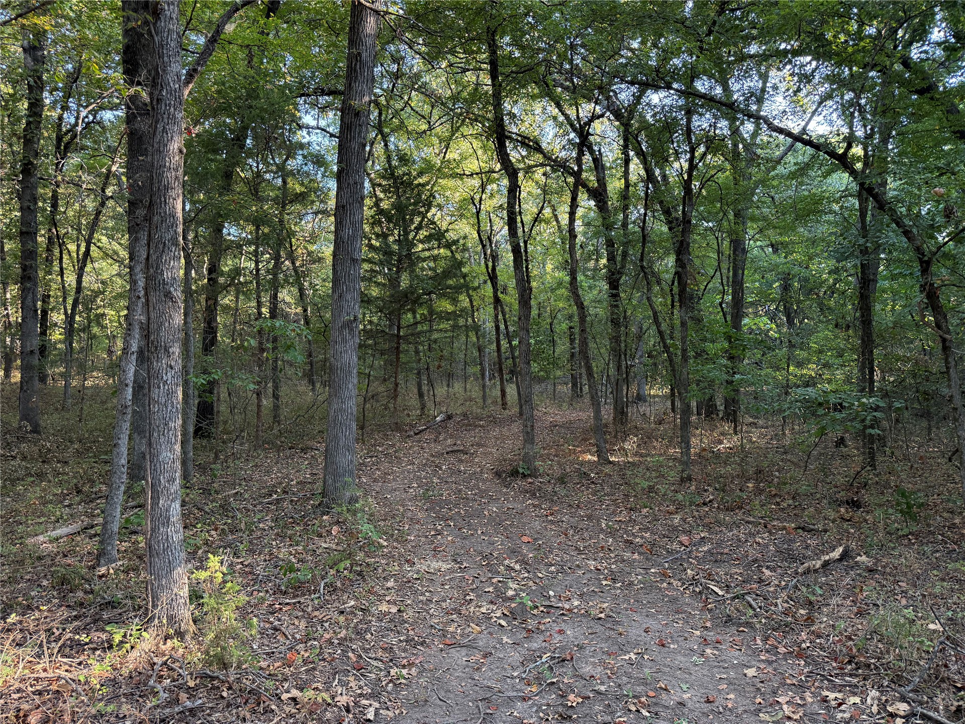 3 County Road 3480 Ada OK 74820