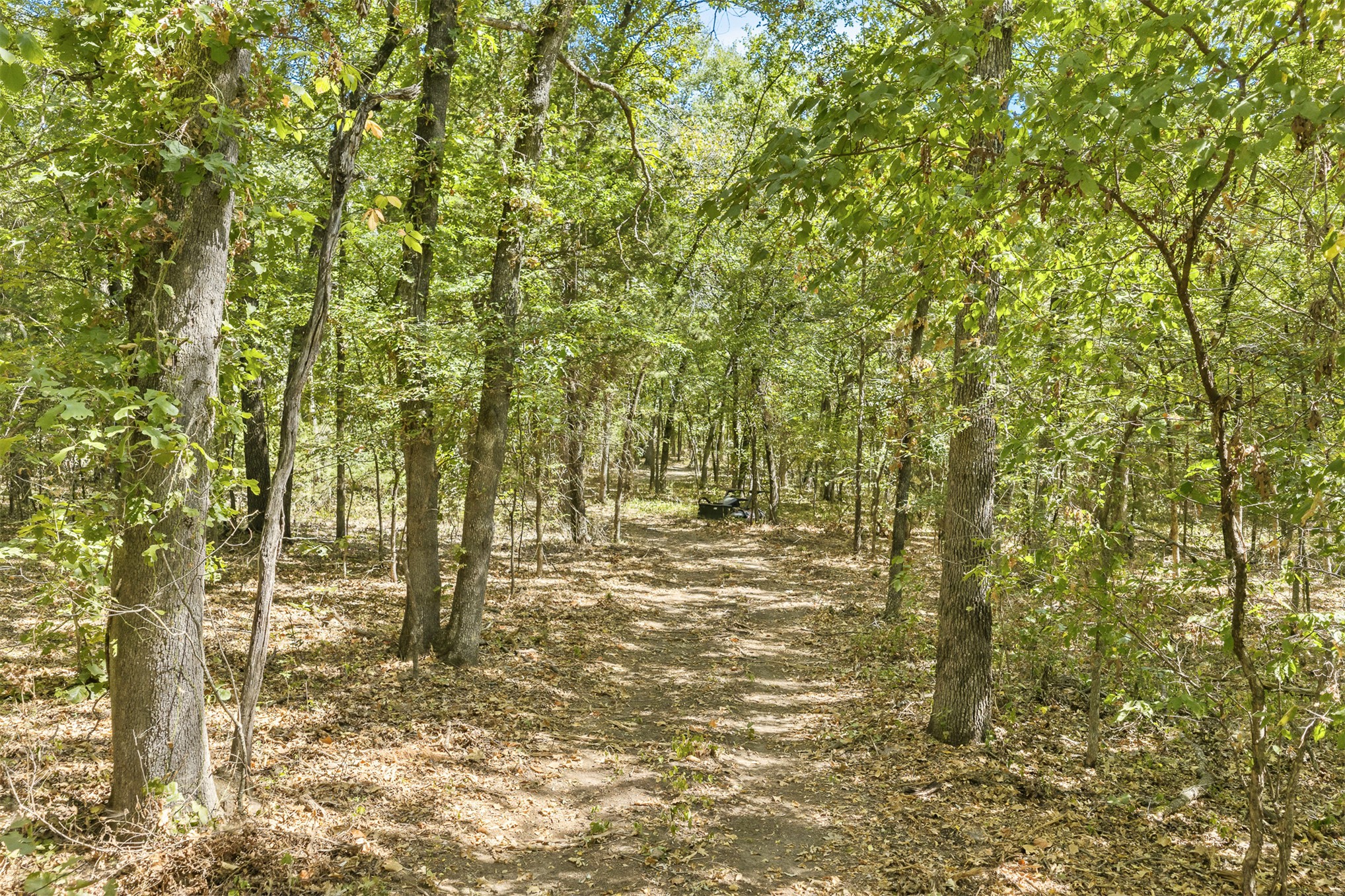 3 County Road 3480 Ada OK 74820
