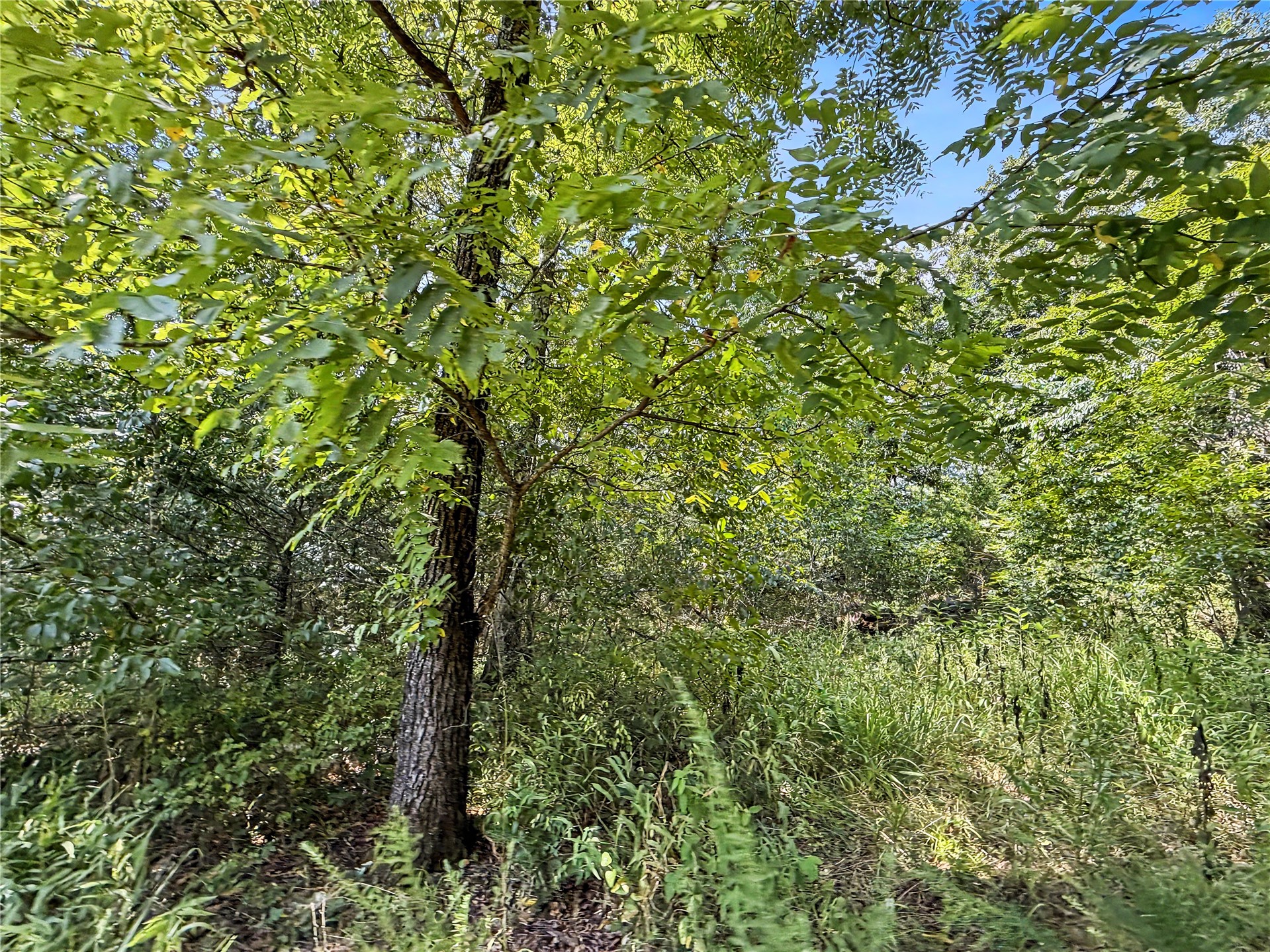 15265 W 917 Road Park Hill OK 74451