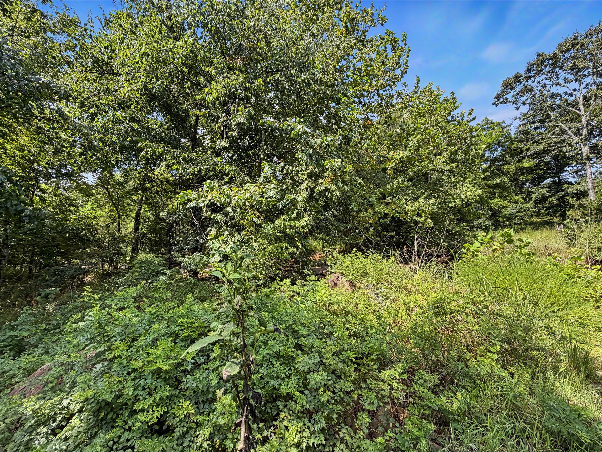 15265 W 917 Road Park Hill OK 74451