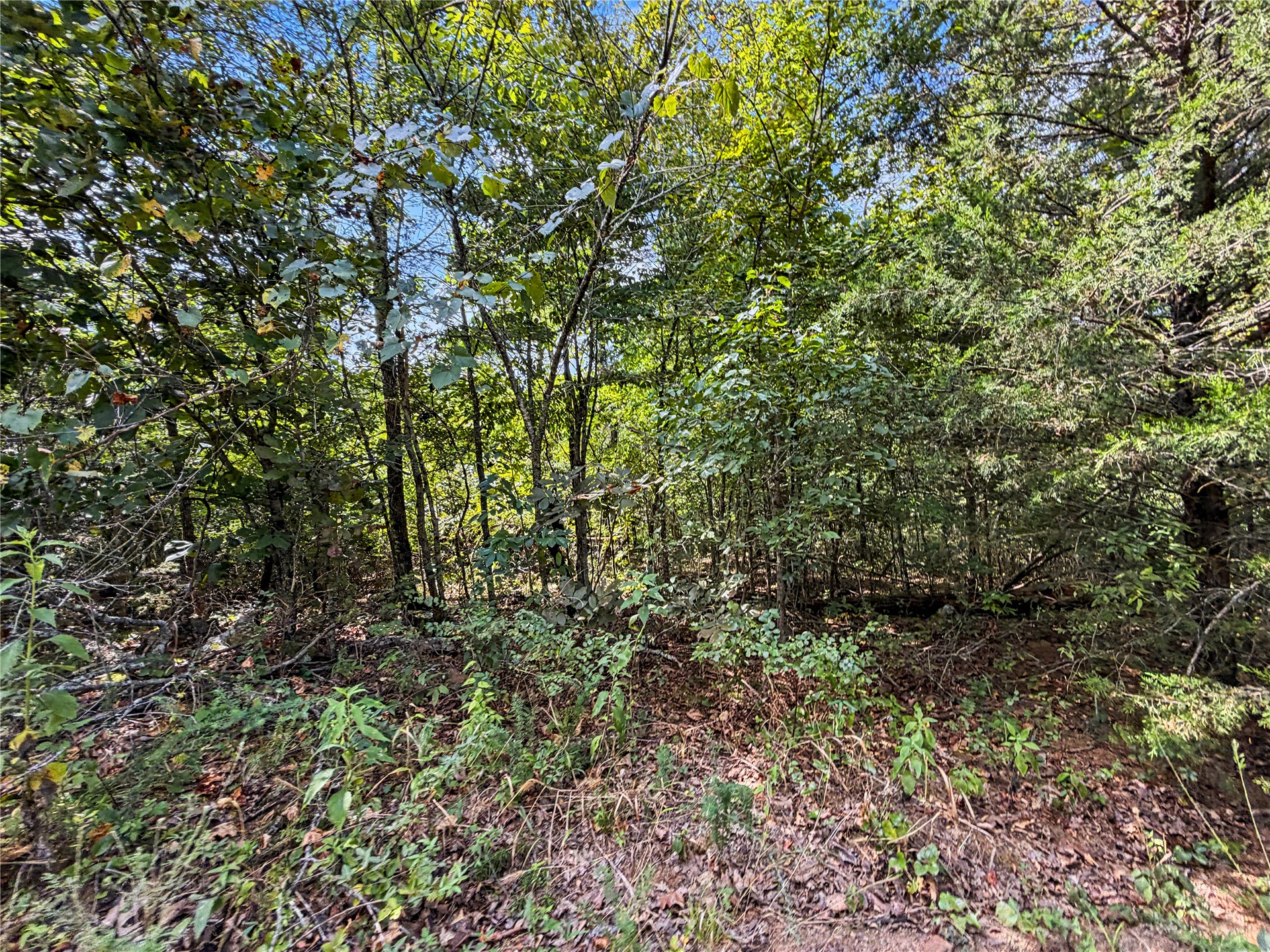 15265 W 917 Road Park Hill OK 74451