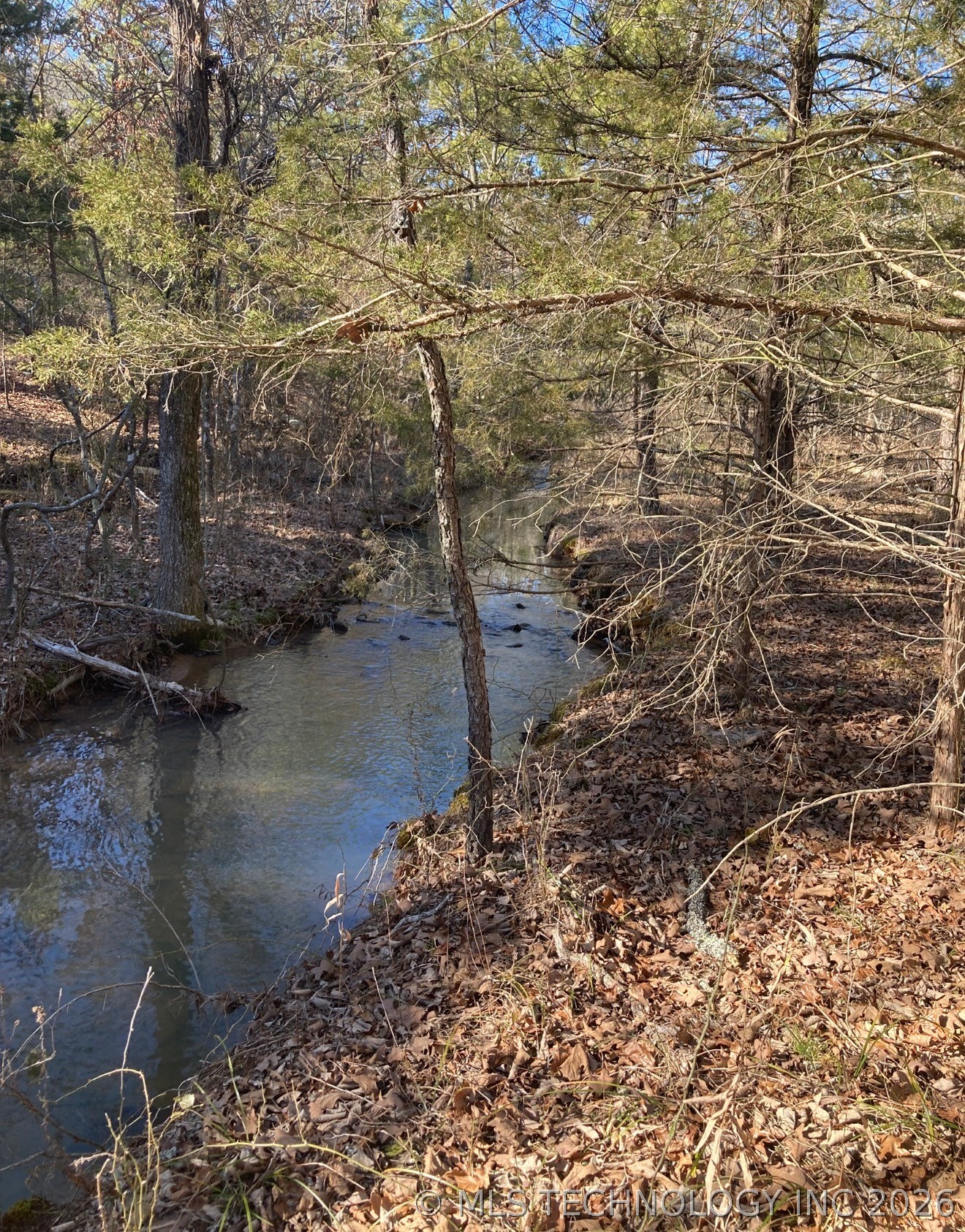 Whispering Pines Antlers OK 74523