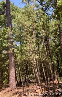 Whispering Pines Antlers OK 74523