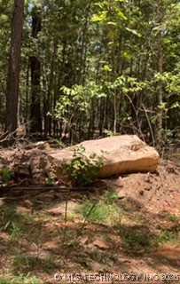 Whispering Pines Antlers OK 74523