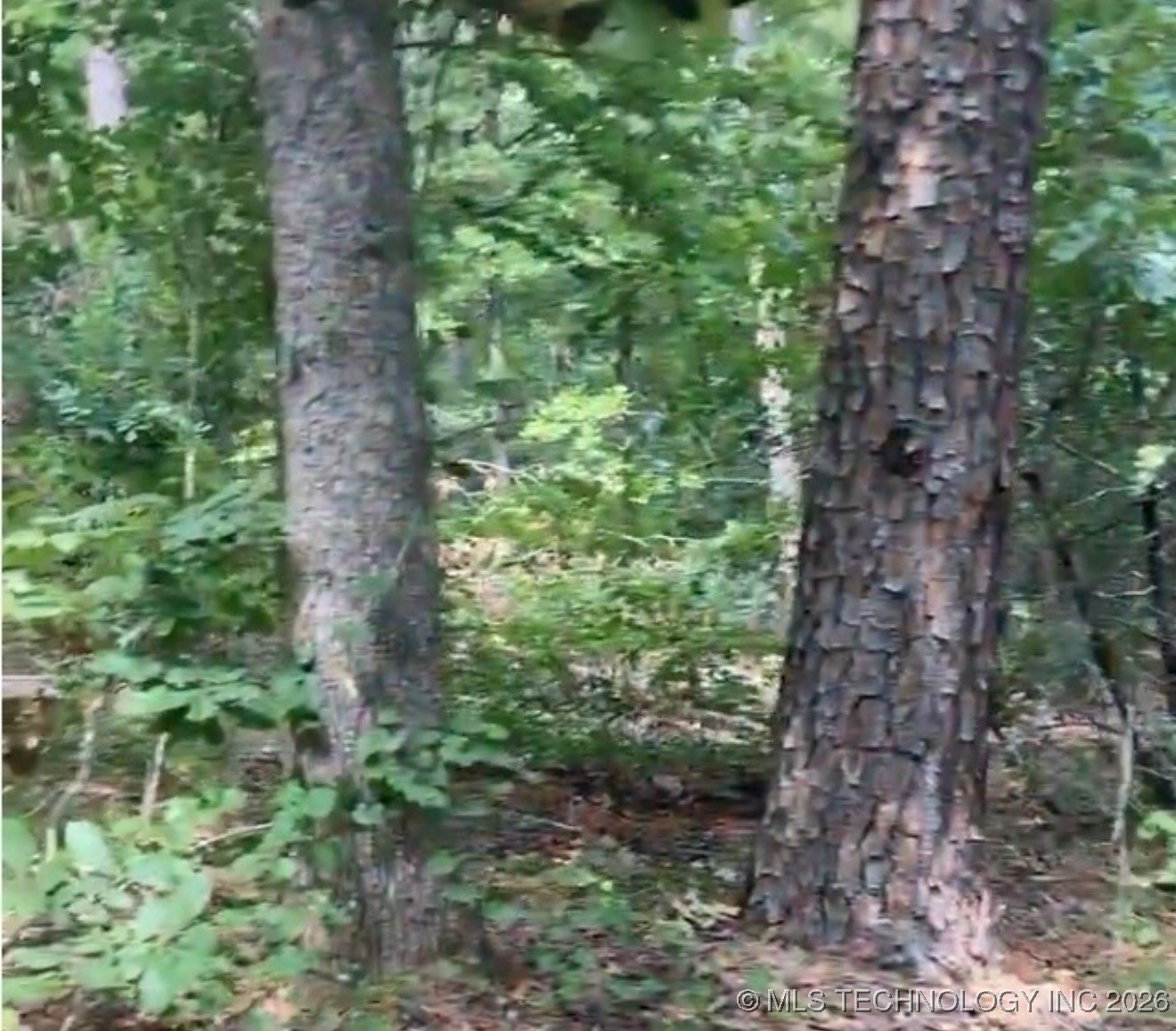 Whispering Pines Antlers OK 74523