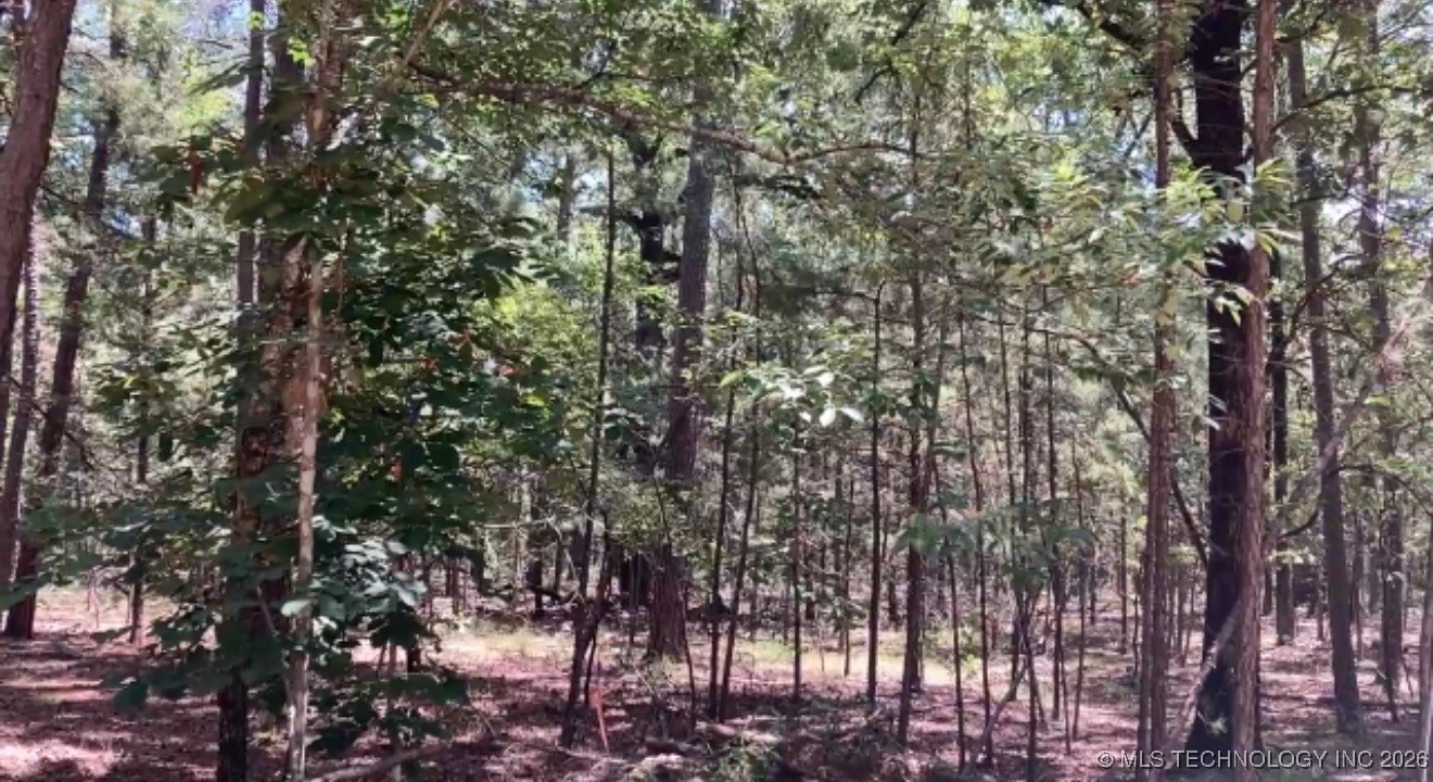 Whispering Pines Antlers OK 74523