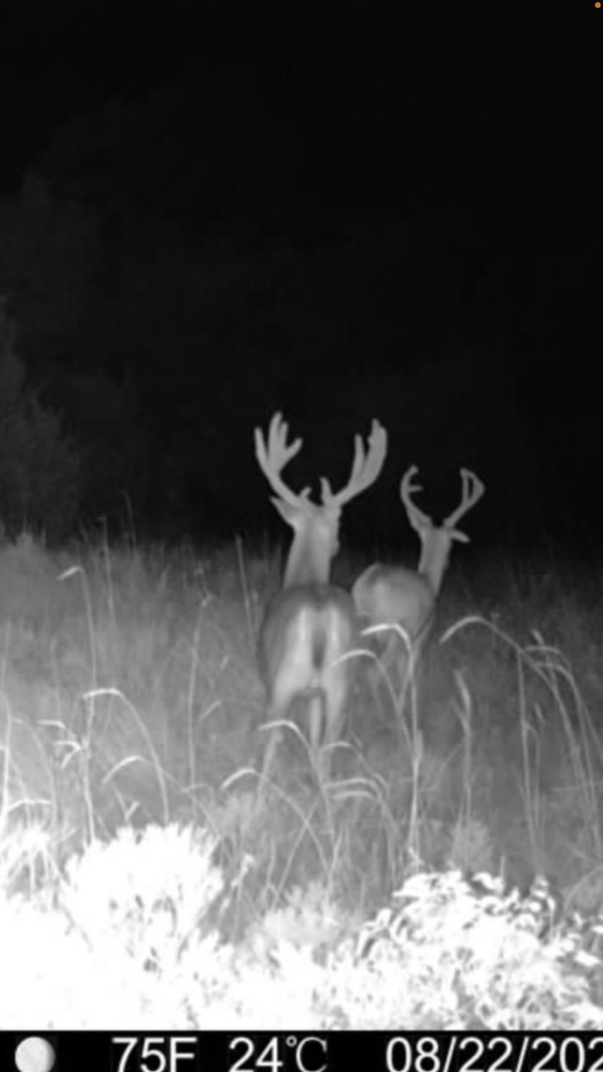 102ND Road Wilburton OK 74578
