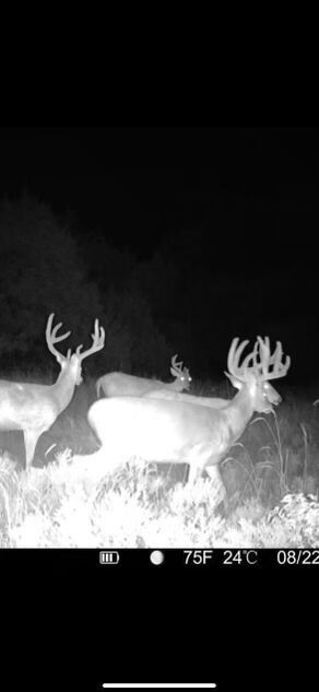 102ND Road Wilburton OK 74578